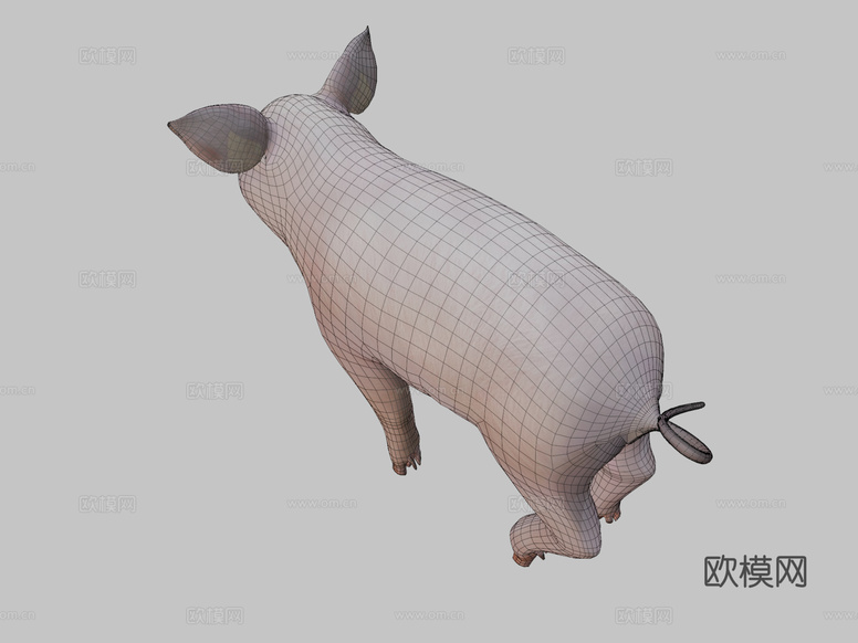 小猪3d模型下载(渲染图2)