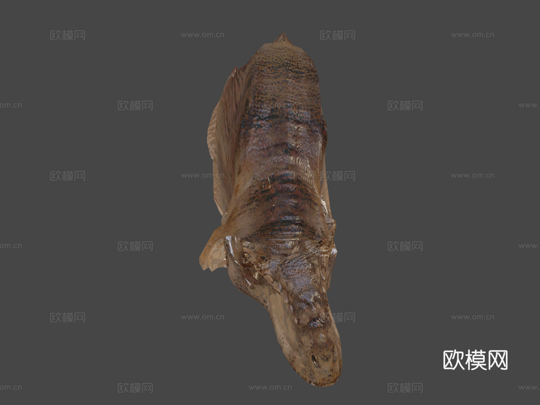 霸王龙骨架(别吃我费里斯摩天轮)3d模型