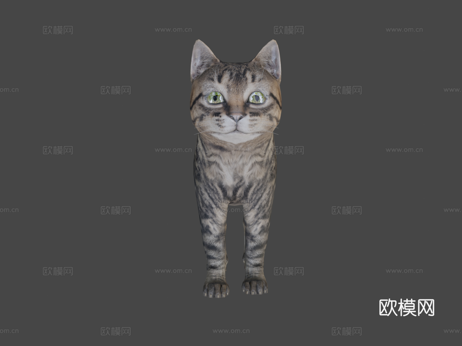 小虎猫3d模型