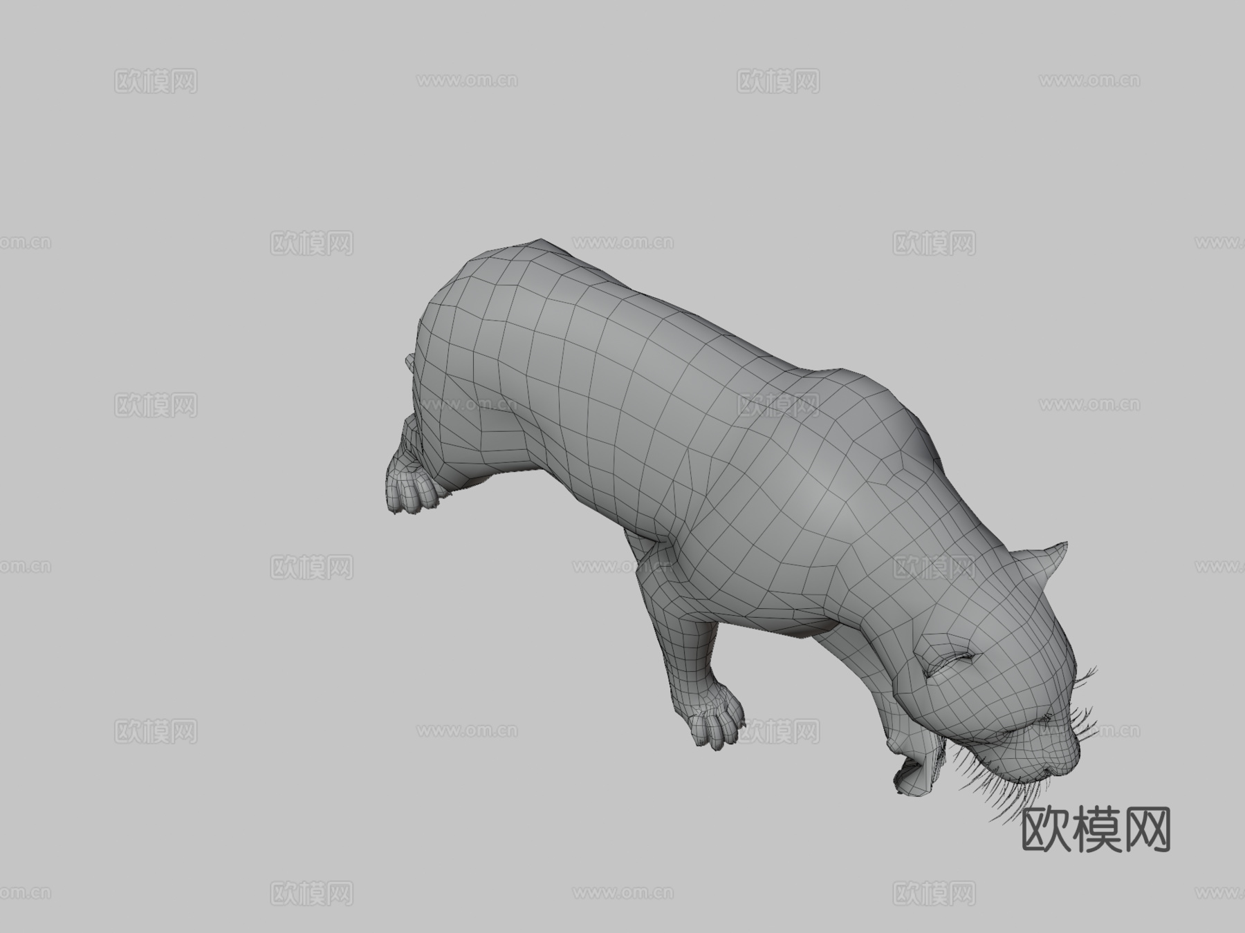 美洲虎3d模型