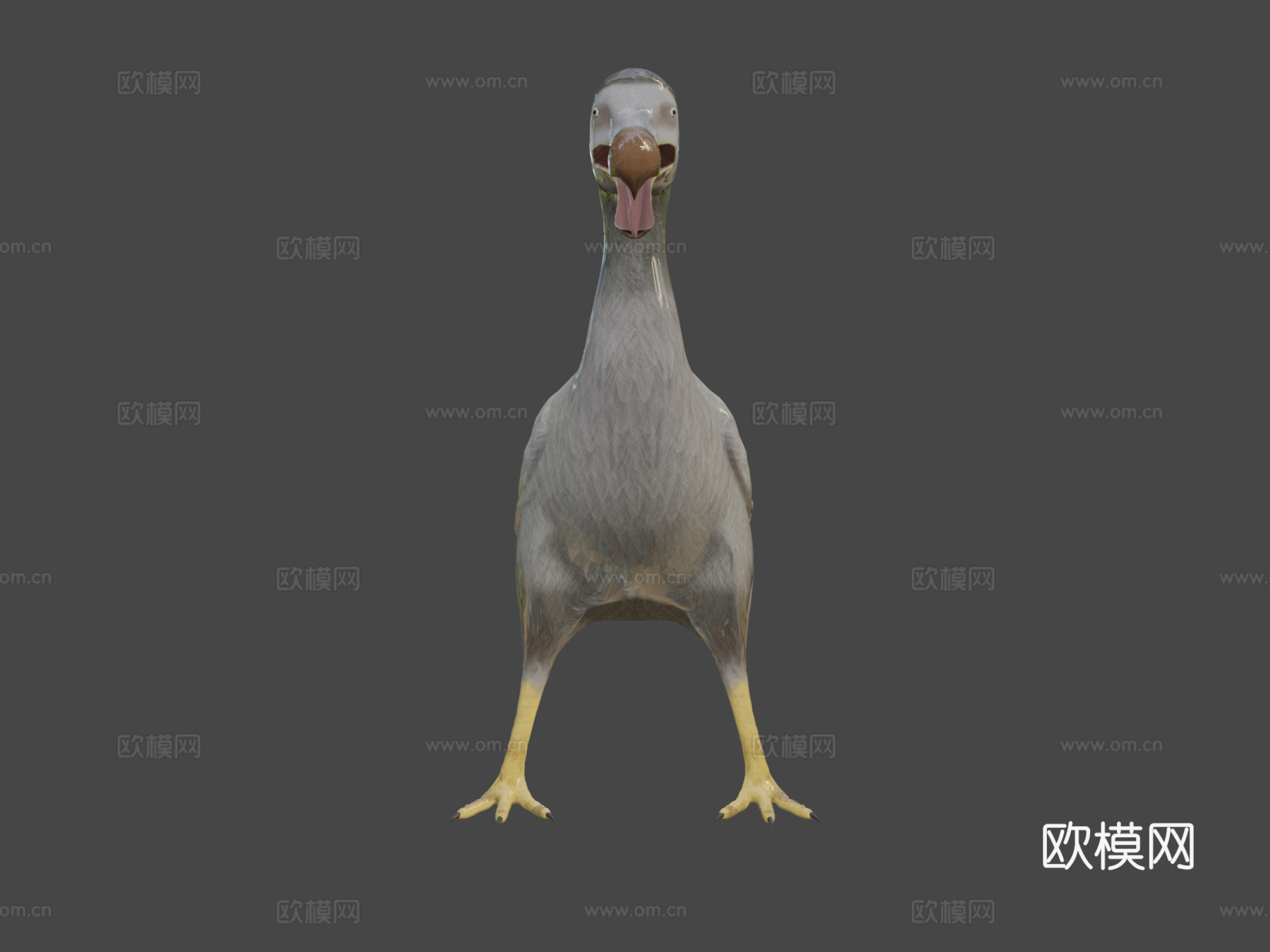 渡渡鸟[灭绝鸟类]3d模型