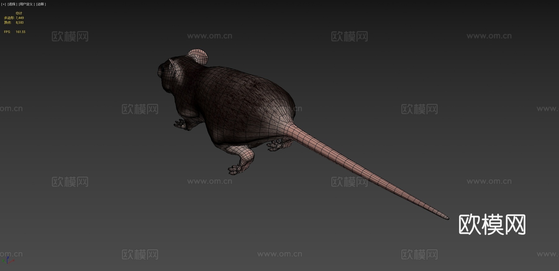 胖老鼠3d模型