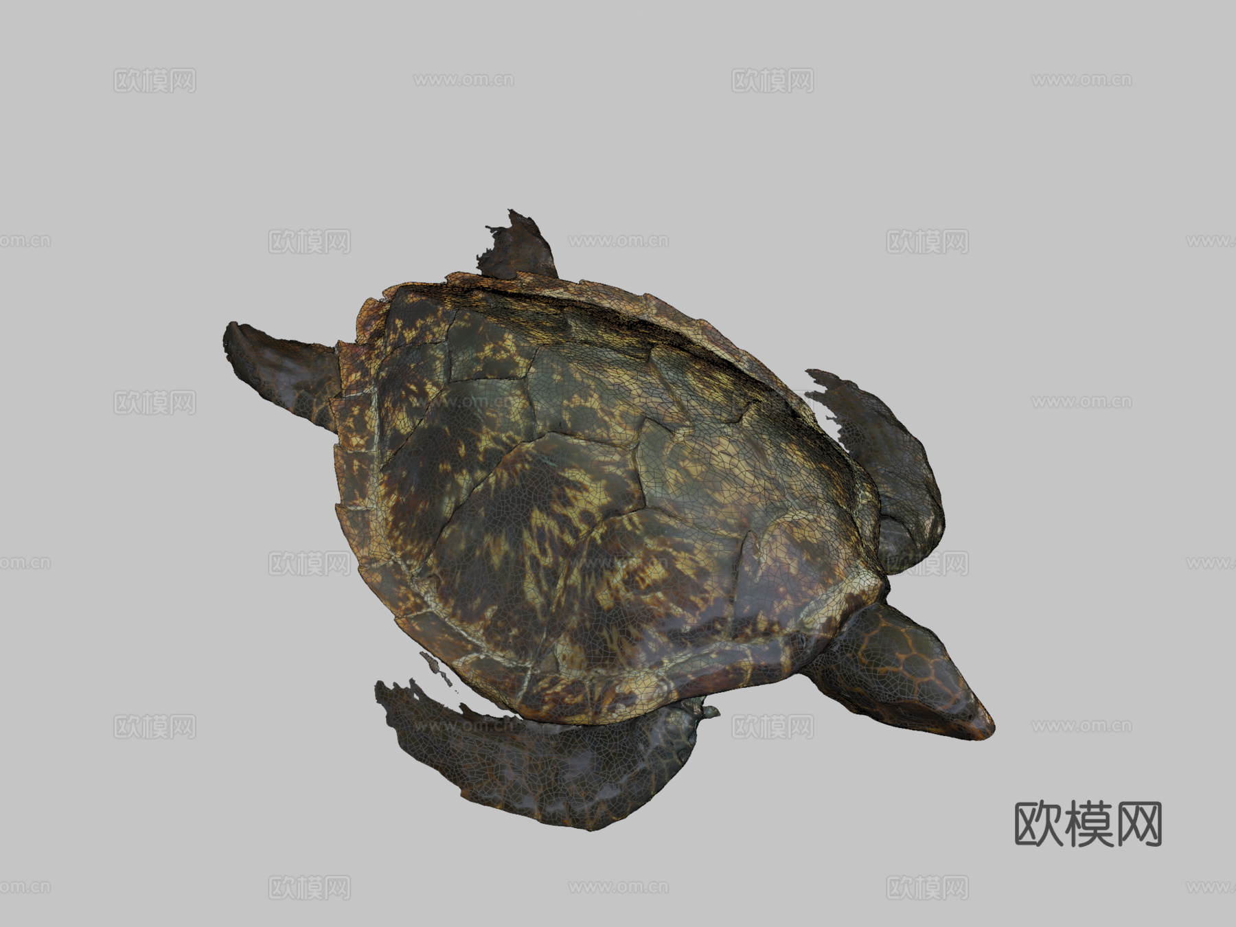 海龟3d模型