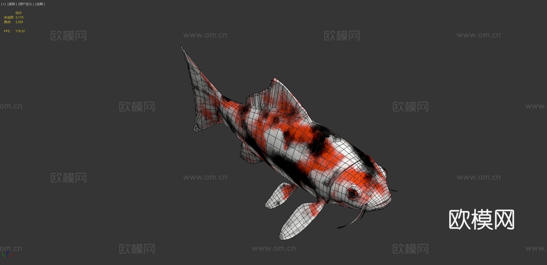 锦鲤3d模型
