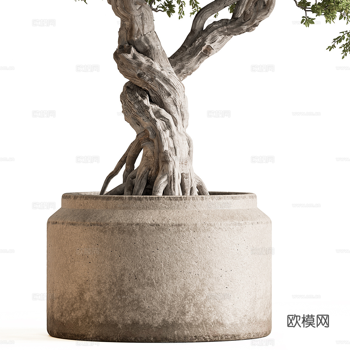 新中式侘寂绿植盆栽3d模型