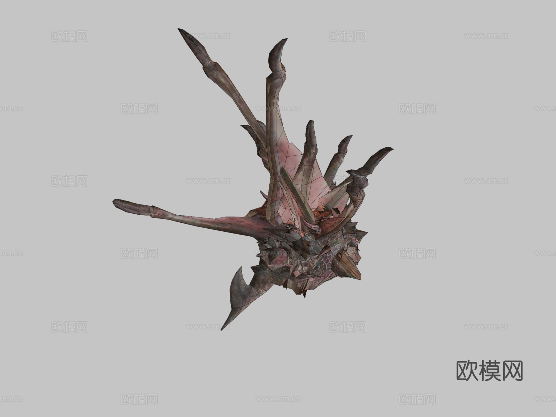 双足飞龙动画(青雉)_13d模型