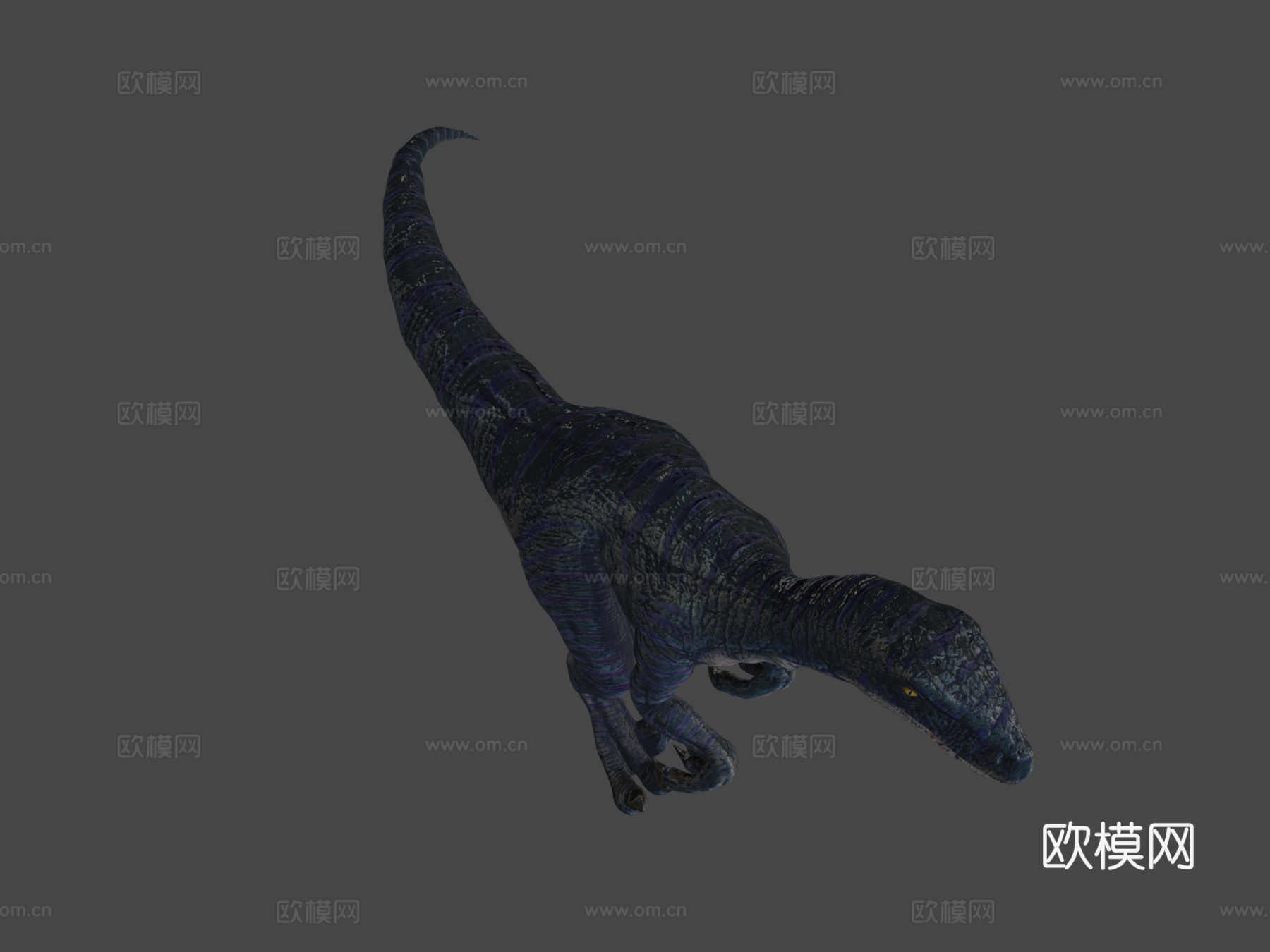 迅猛龙3d模型