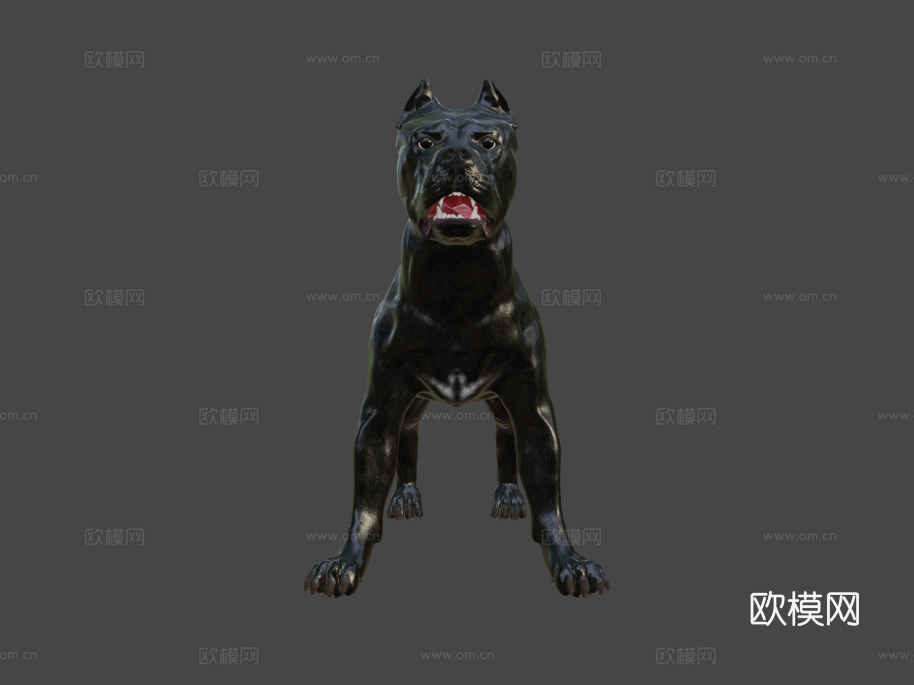 凯恩柯索V3版-几何优化3d模型