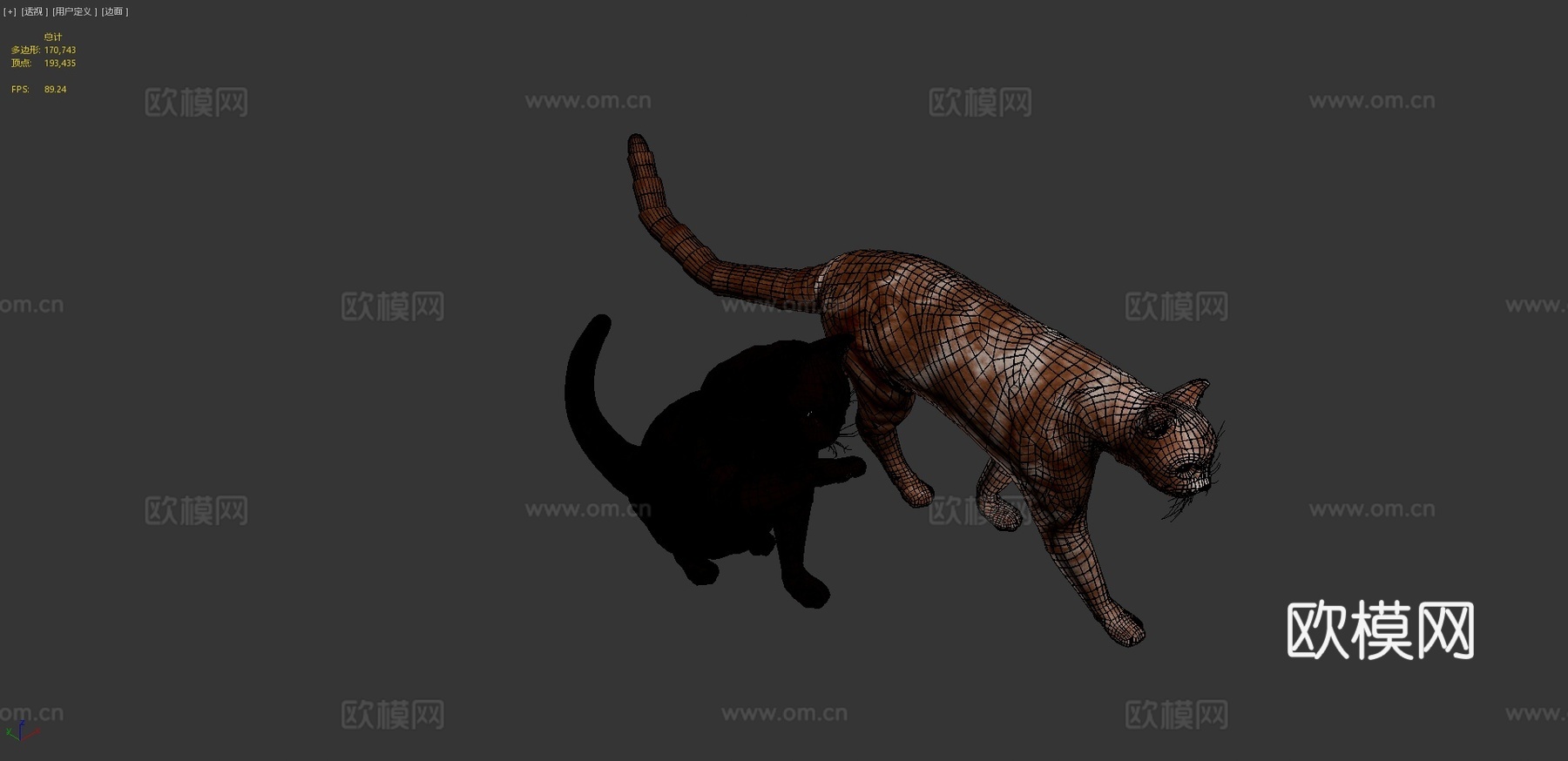 名叫玛吉的猫3d模型
