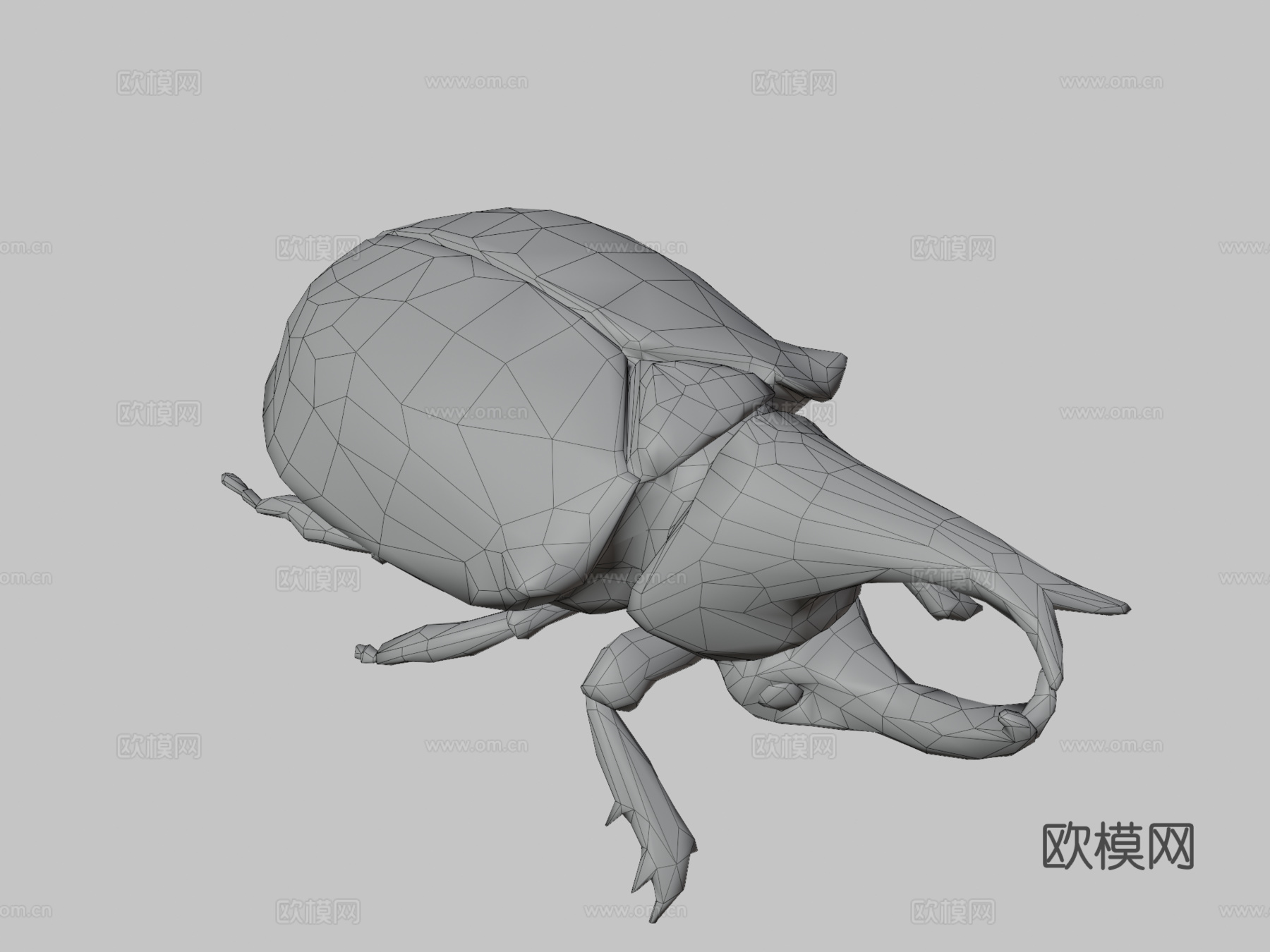 犀牛甲虫3d模型