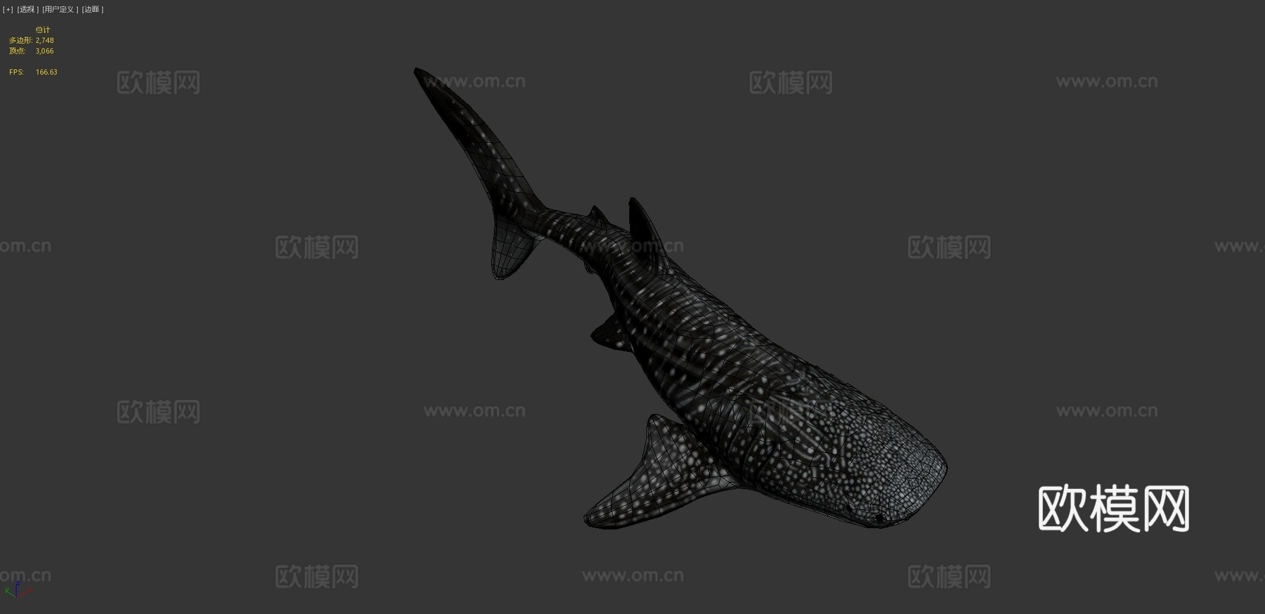 鲸鲨3d模型