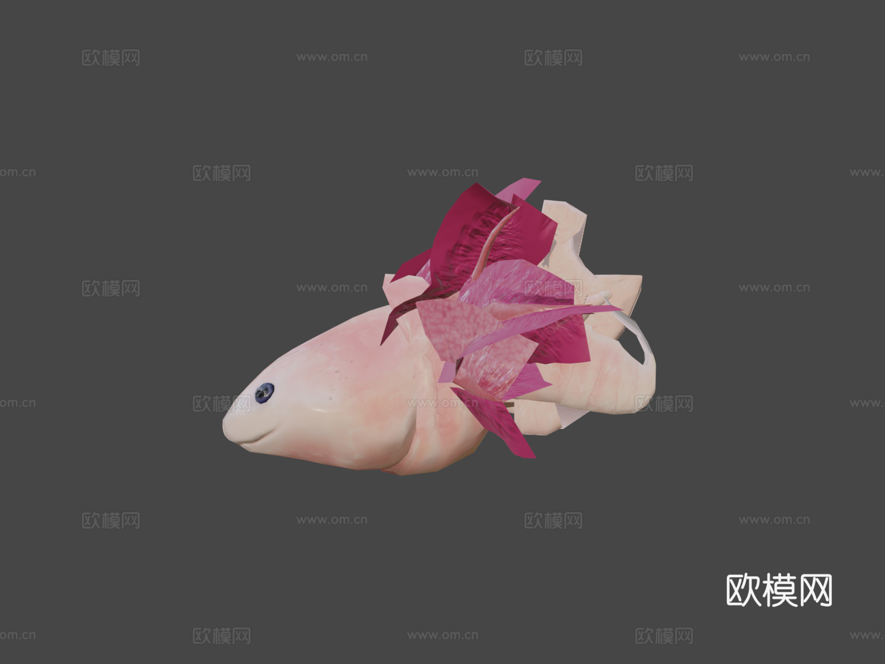 美西螈3d模型