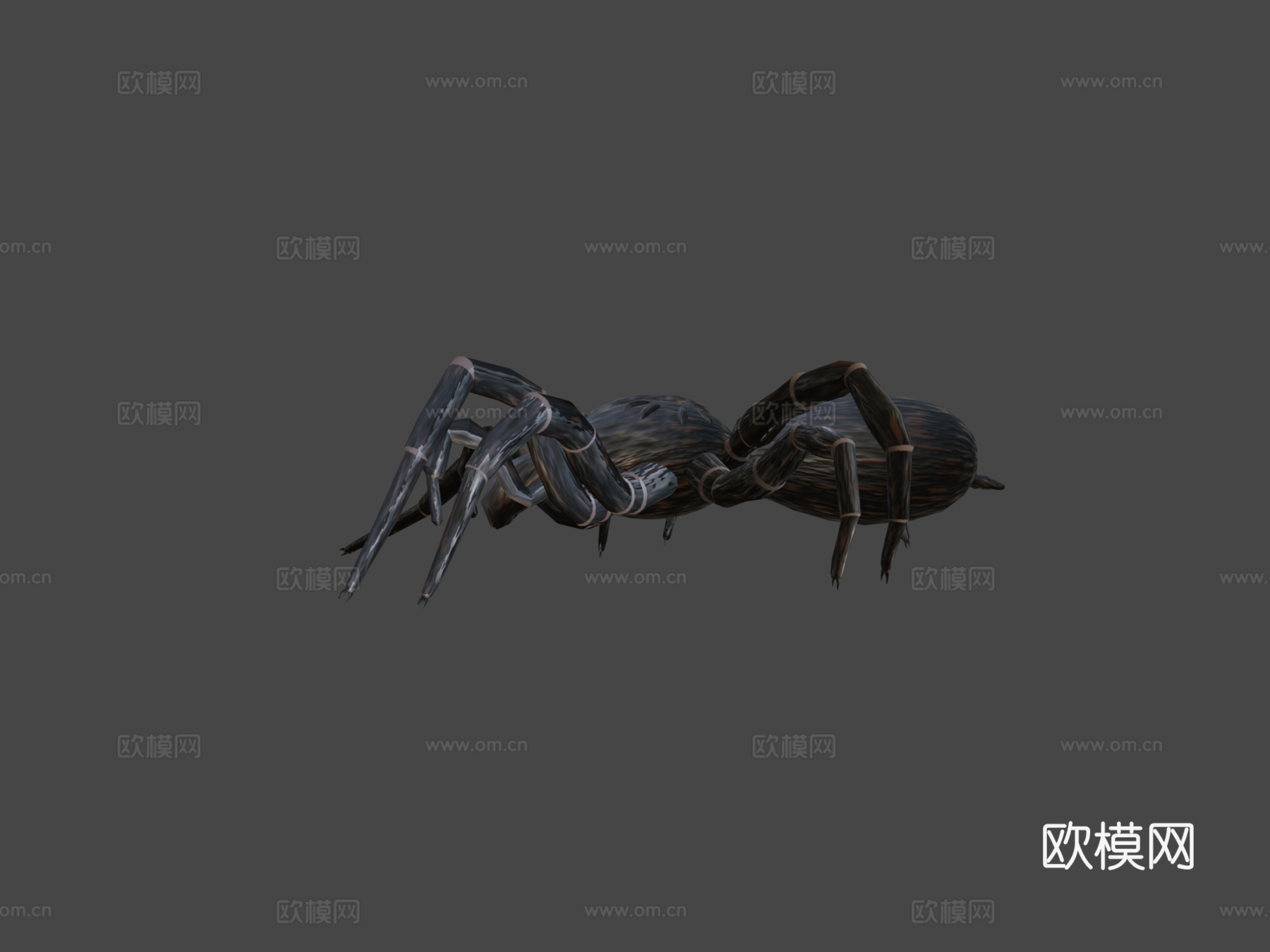 恐怖蜘蛛3d模型