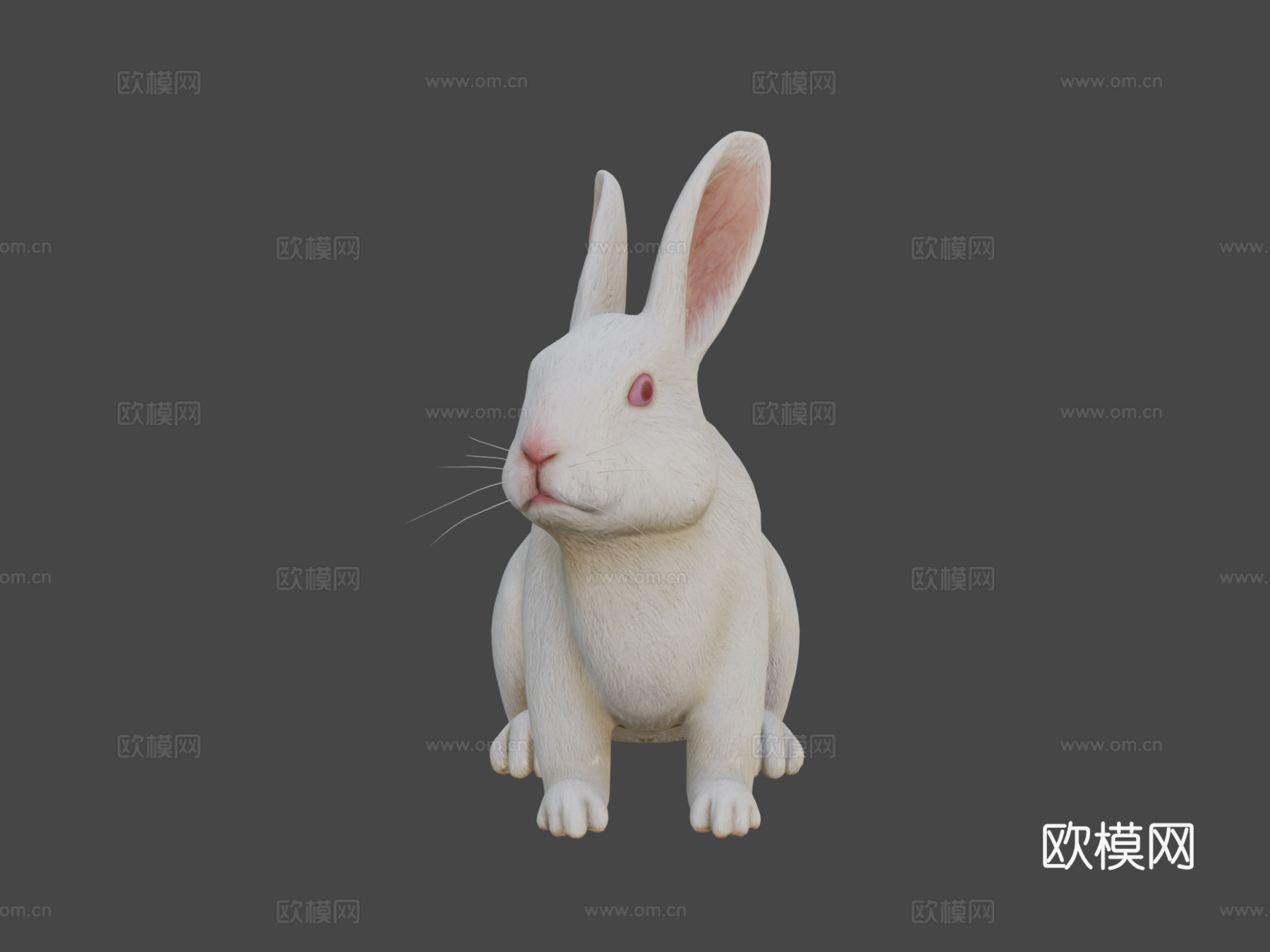 兔子3d模型