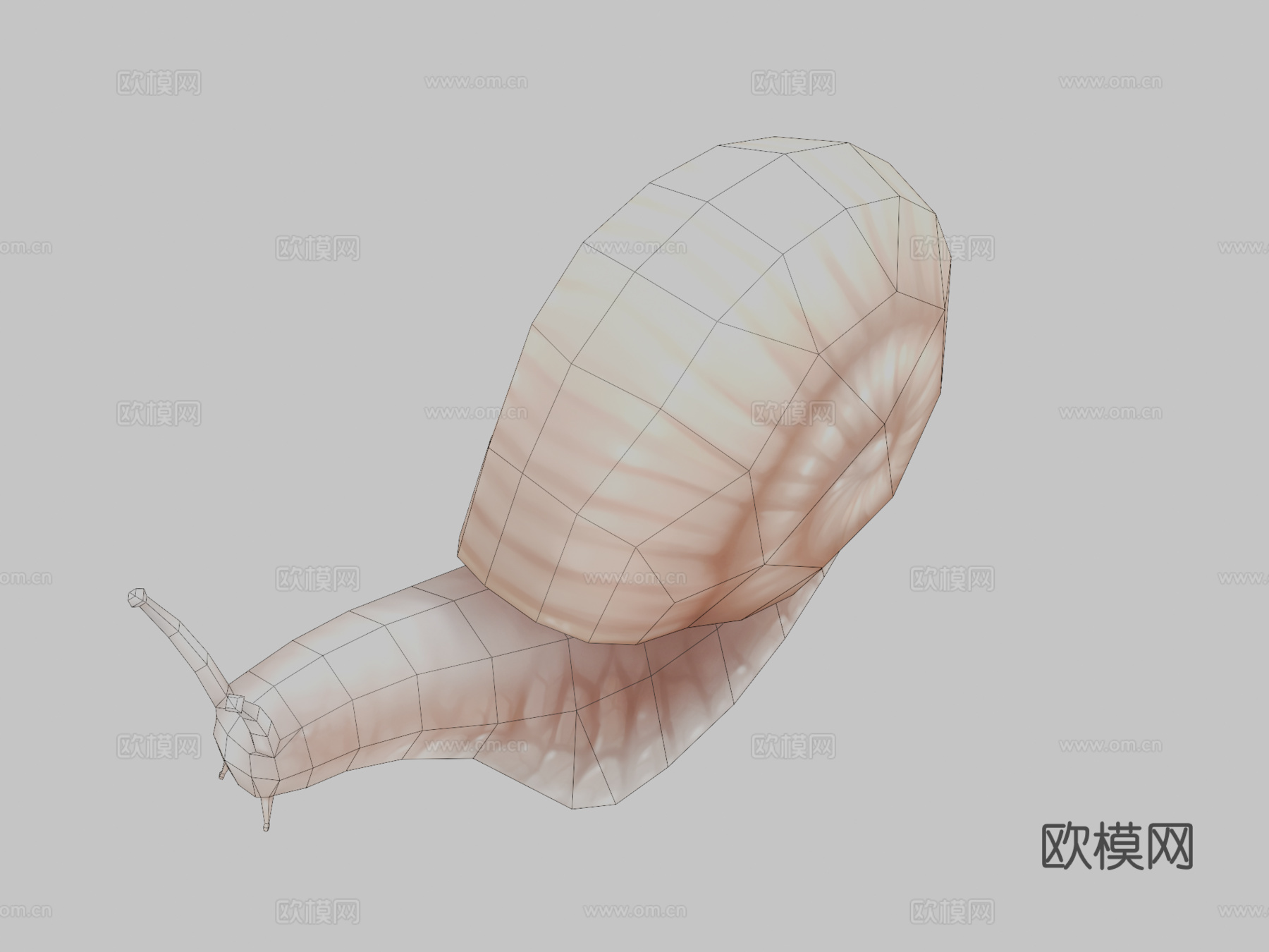 蜗牛3d模型