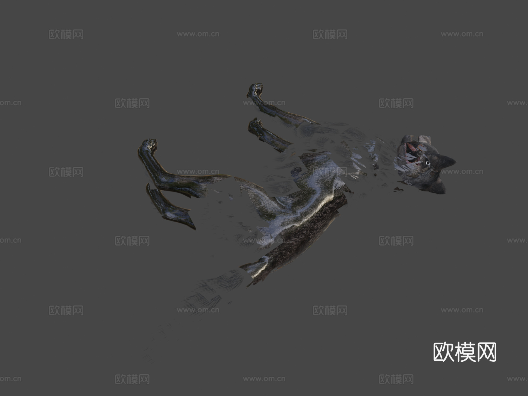 写实灰狼[使命召唤]3d模型