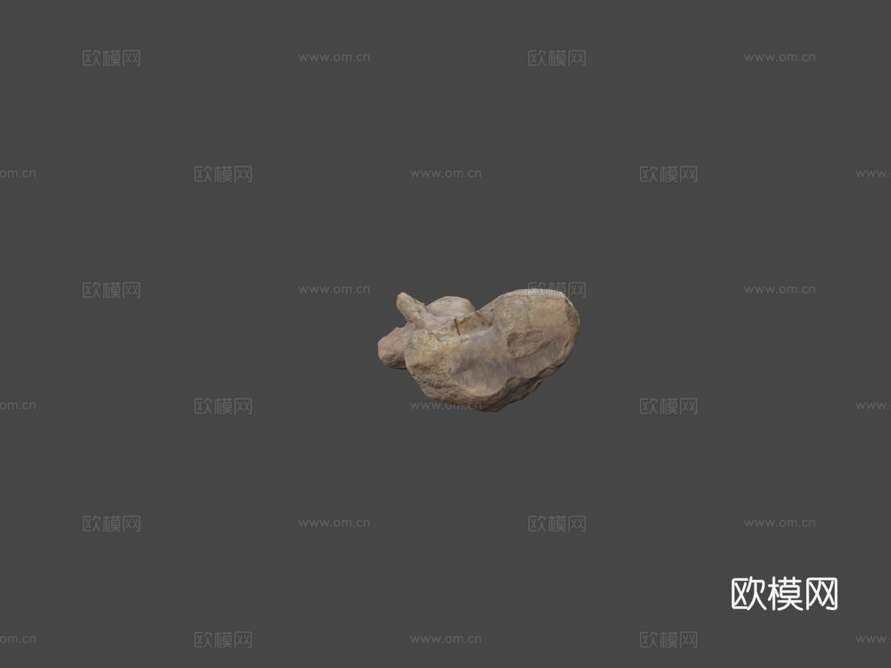 马骨3d模型