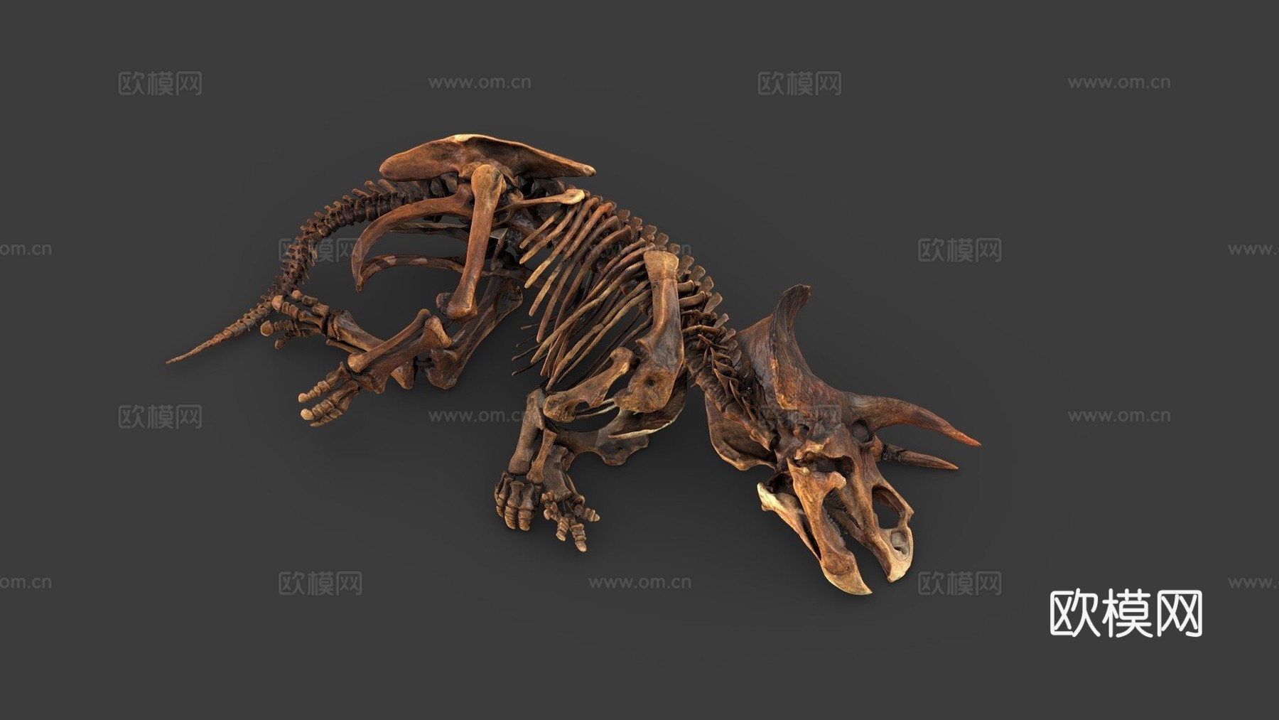 三角龙恐怖沼泽种3d模型