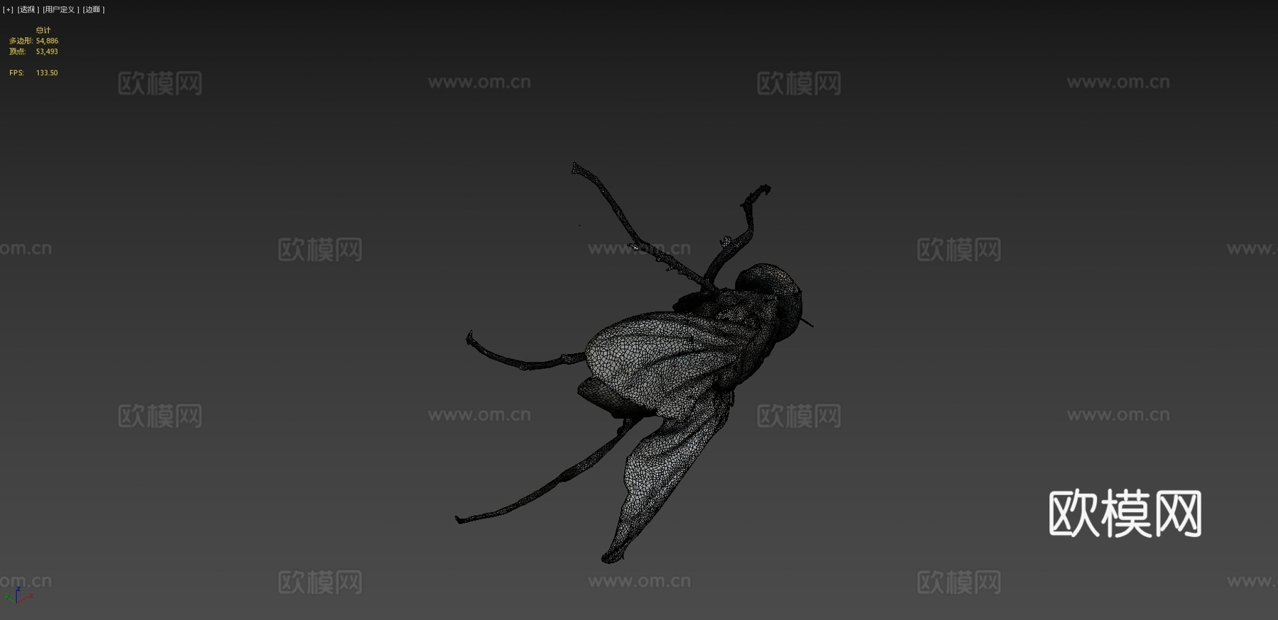 家蝇（自然历史数字档案(DiNArDa)）3d模型