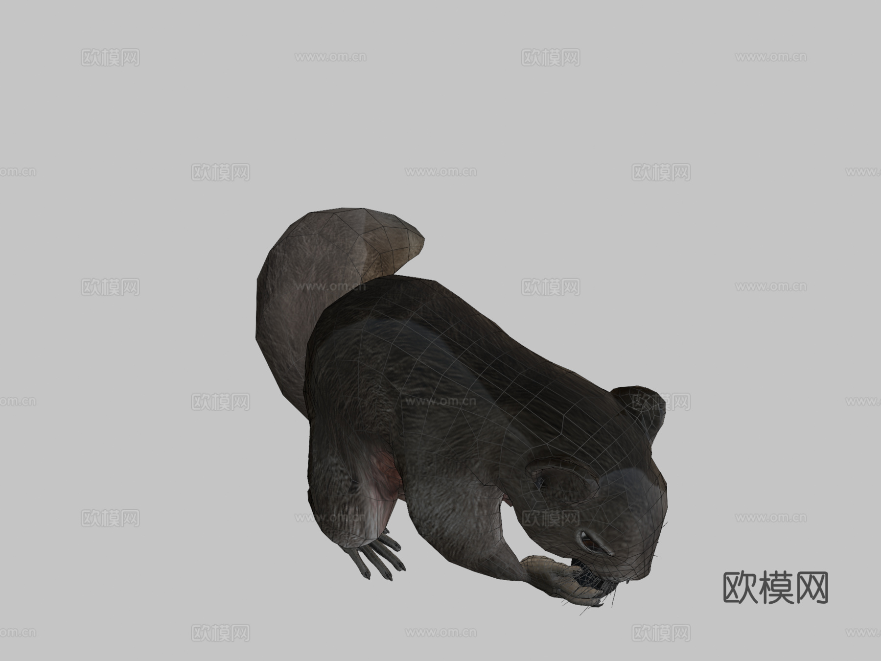 松鼠动画3d模型