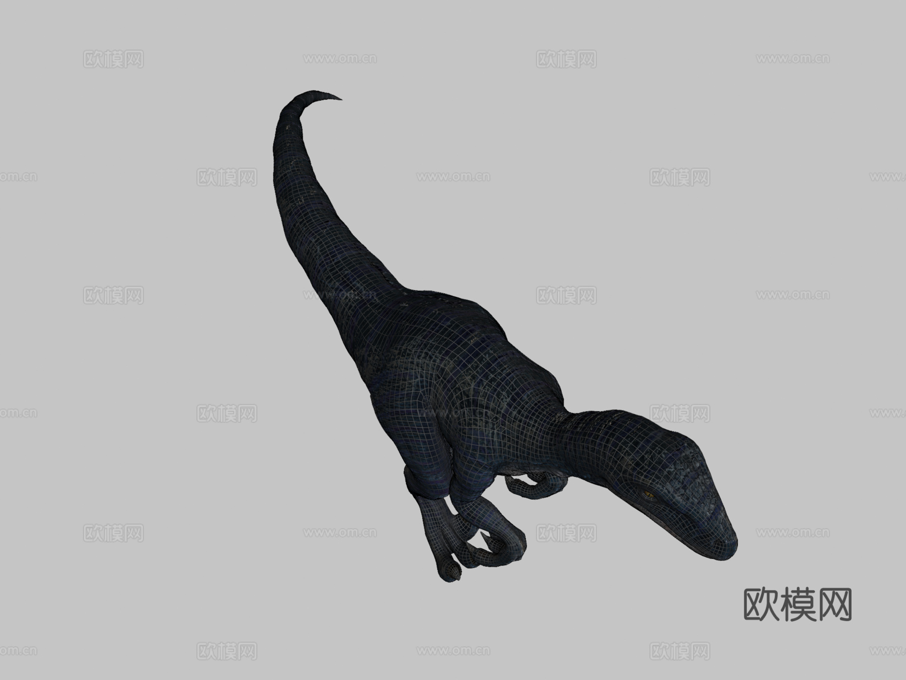 迅猛龙3d模型