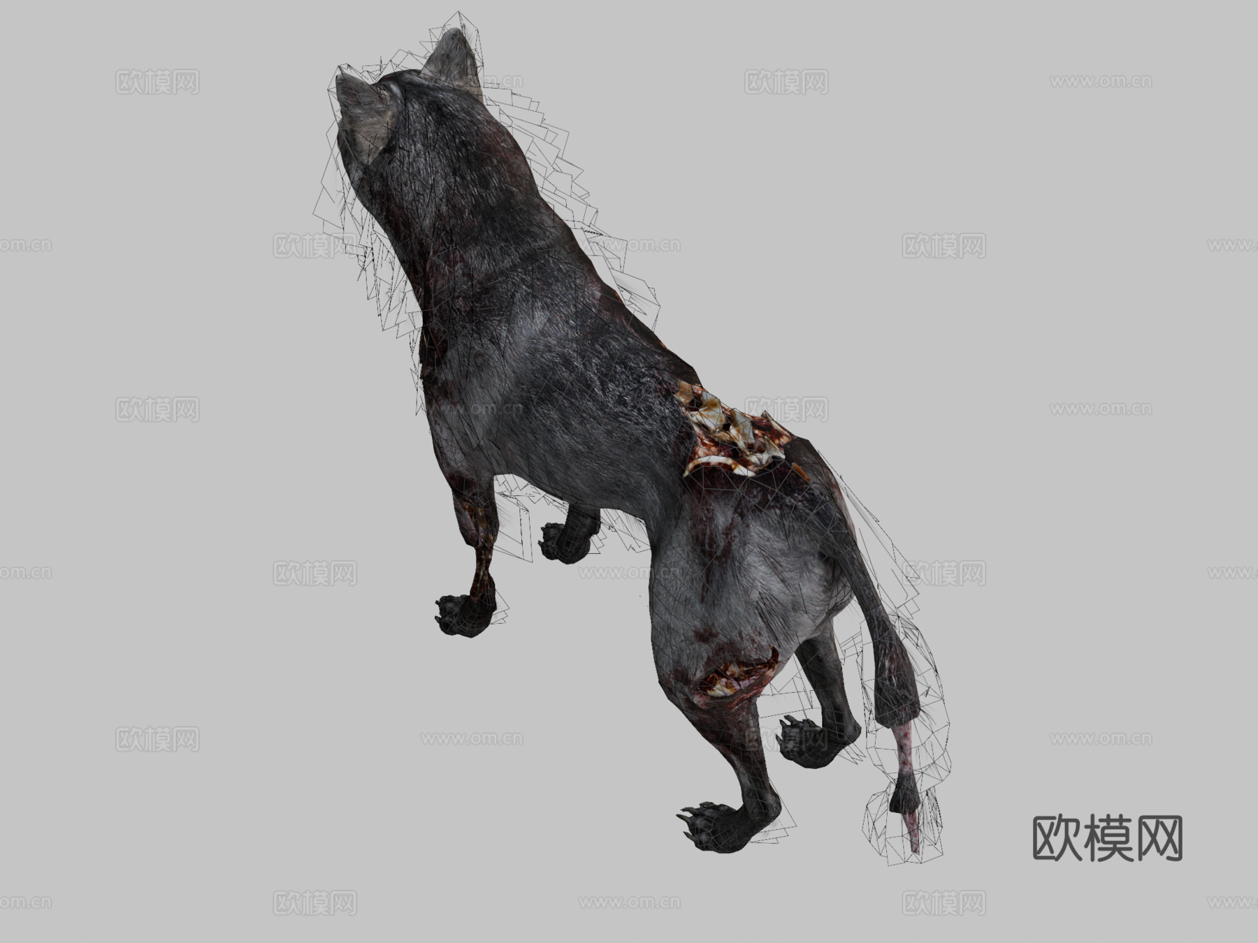 使命召唤-幽灵的地狱犬3d模型