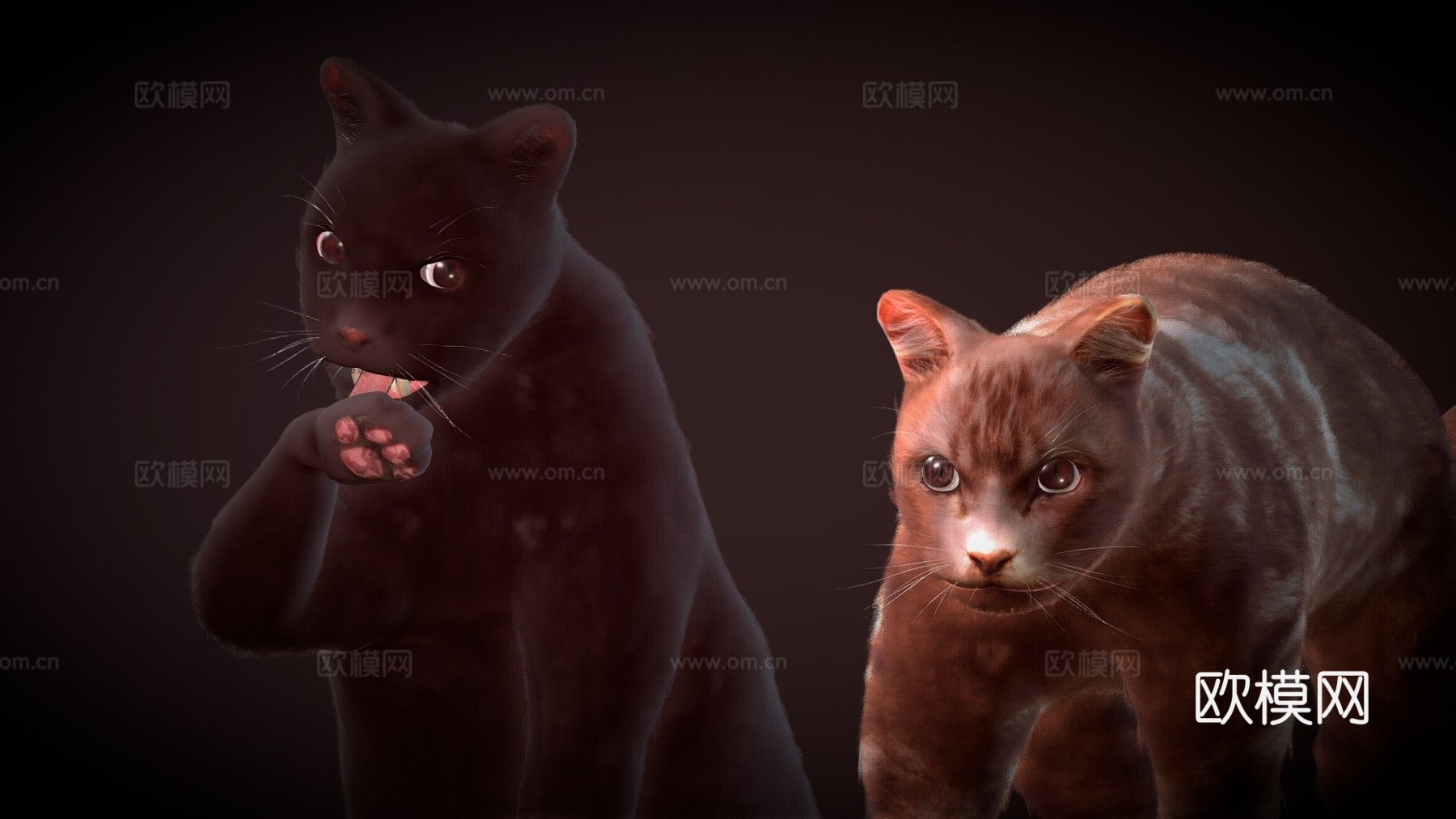 名叫玛吉的猫3d模型