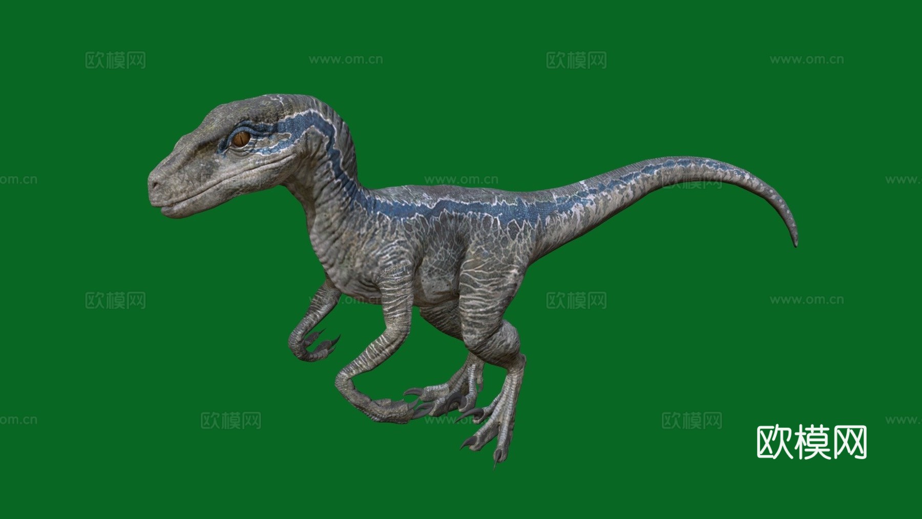 迅猛龙蓝色3d模型