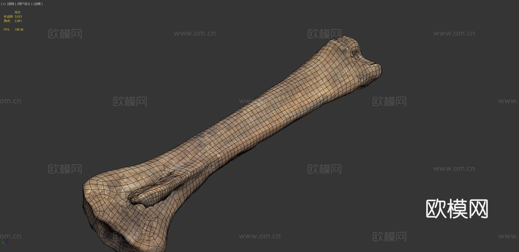马骨3d模型