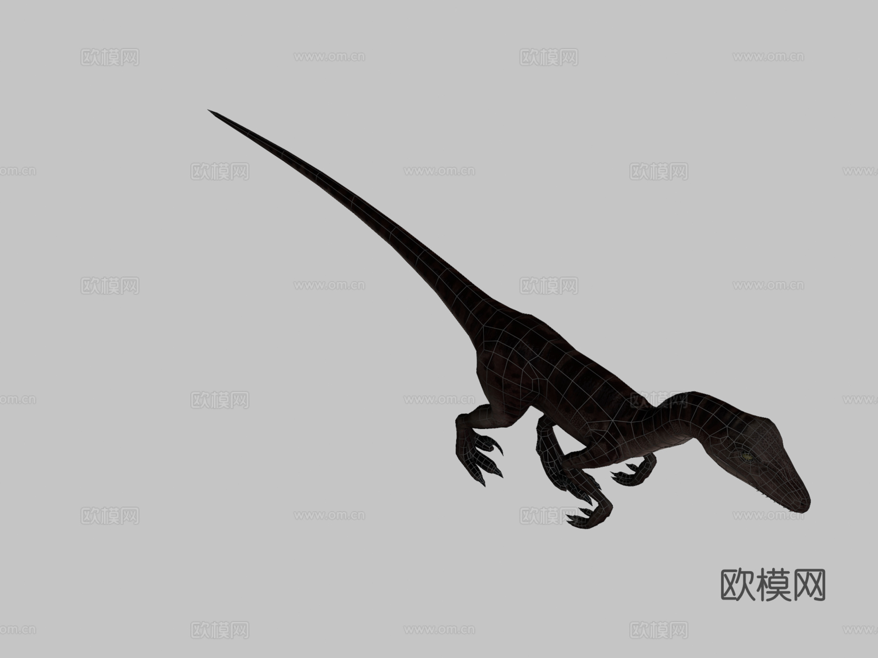 伶盗龙低多边形3d模型