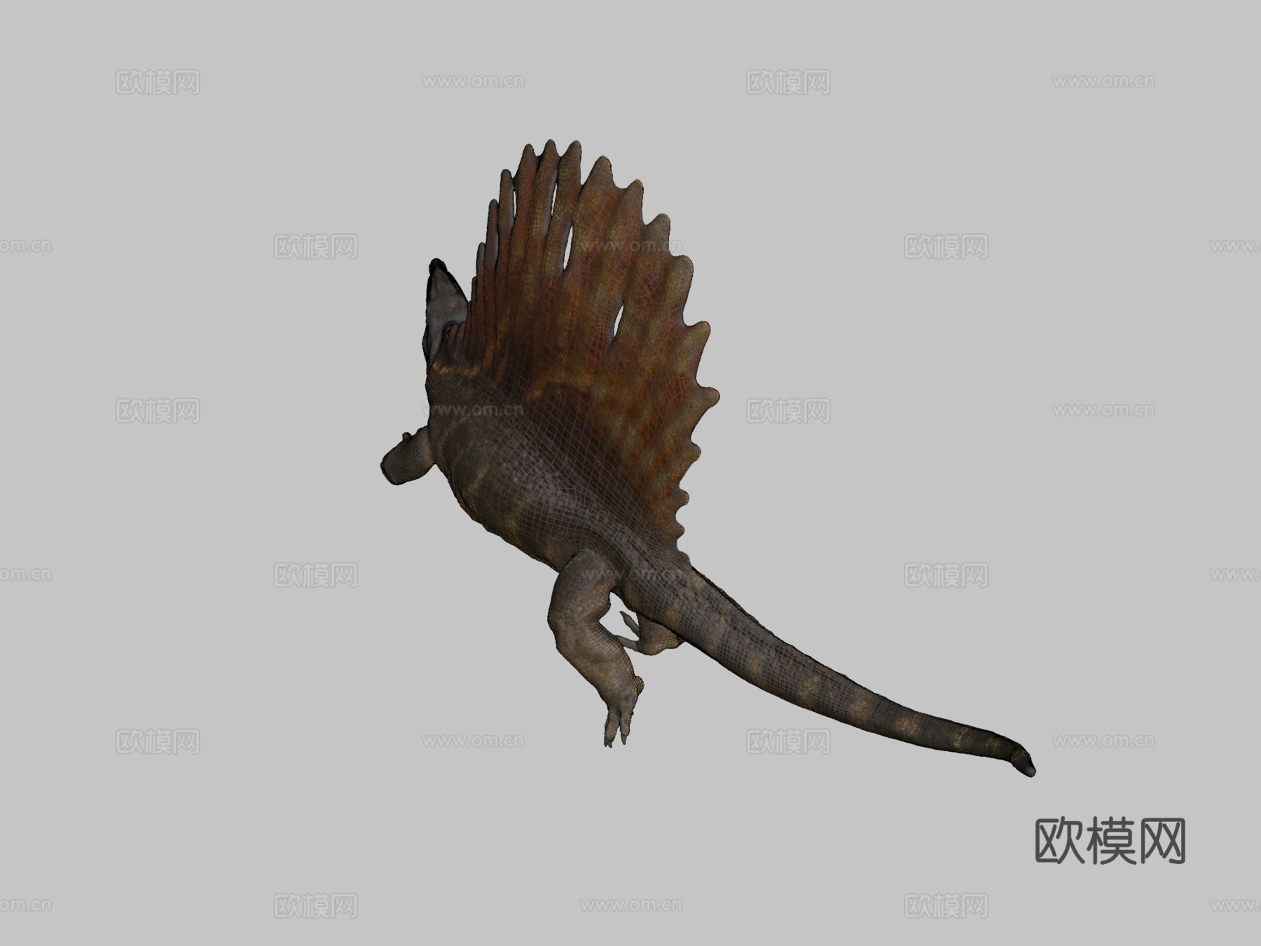 异齿龙3d模型