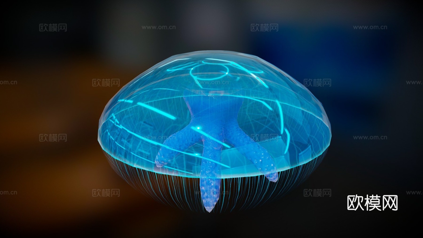 月亮水母动画3d模型