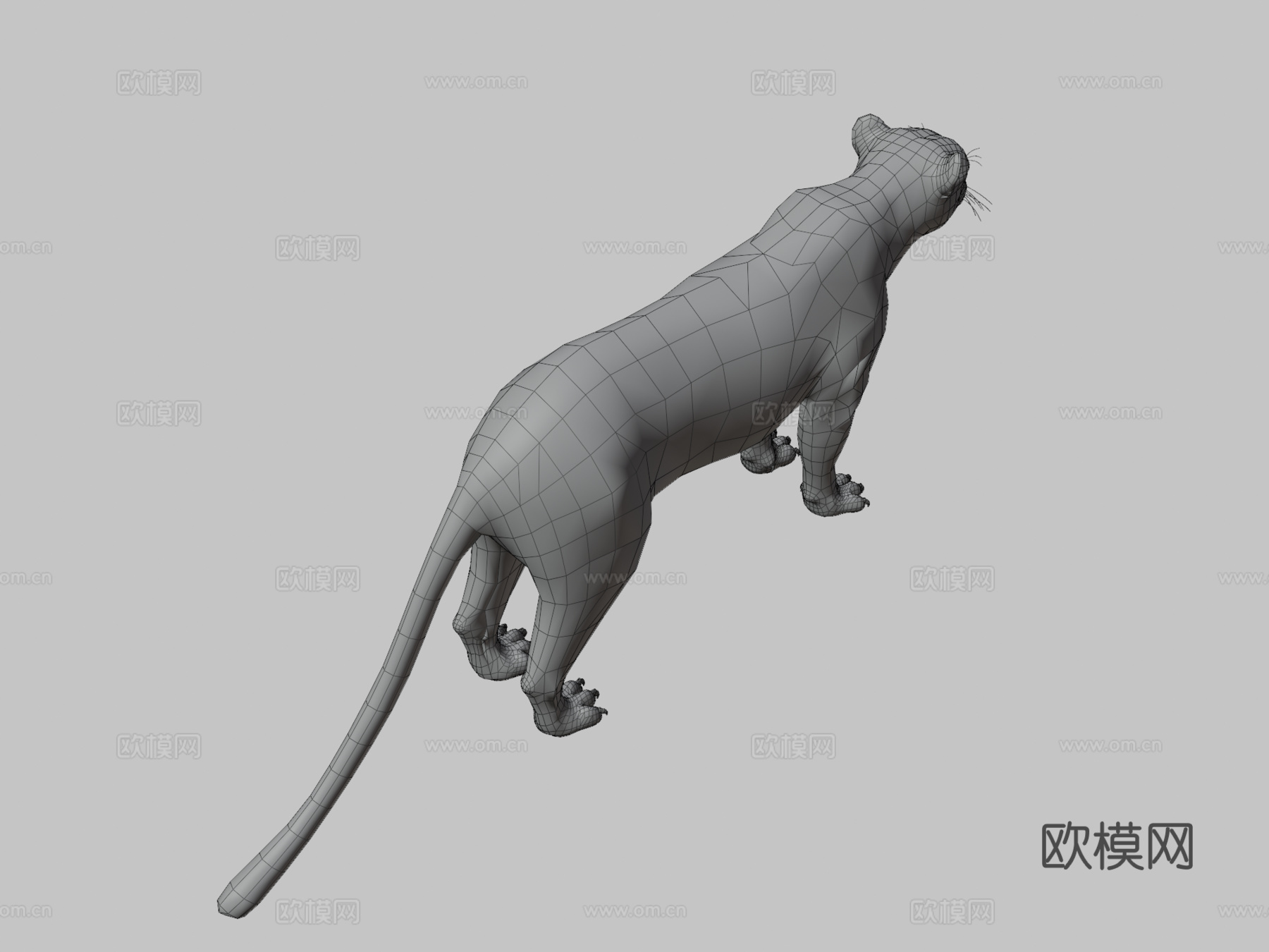 黑豹免费3D模型3d模型