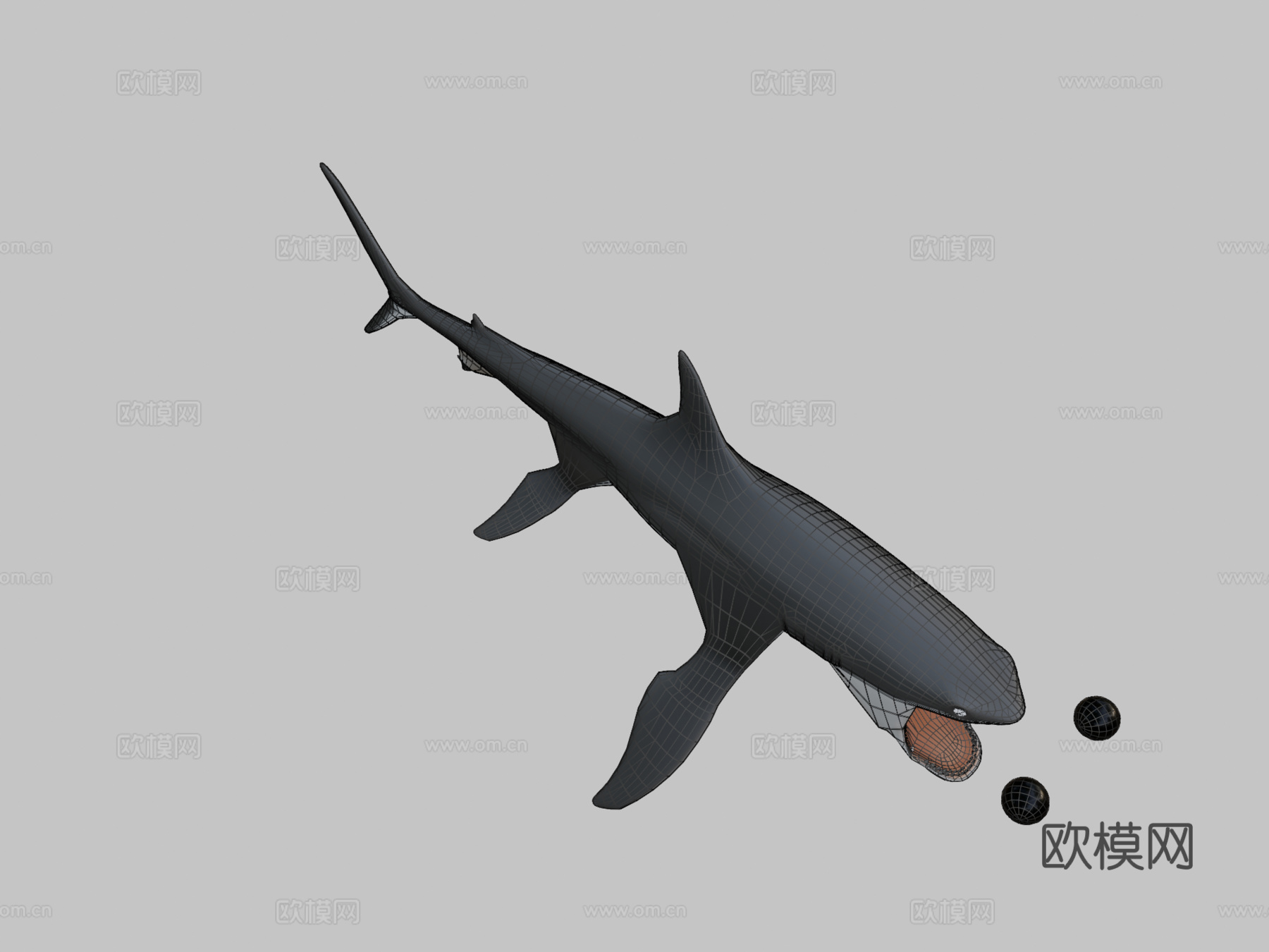 大白鲨3d模型