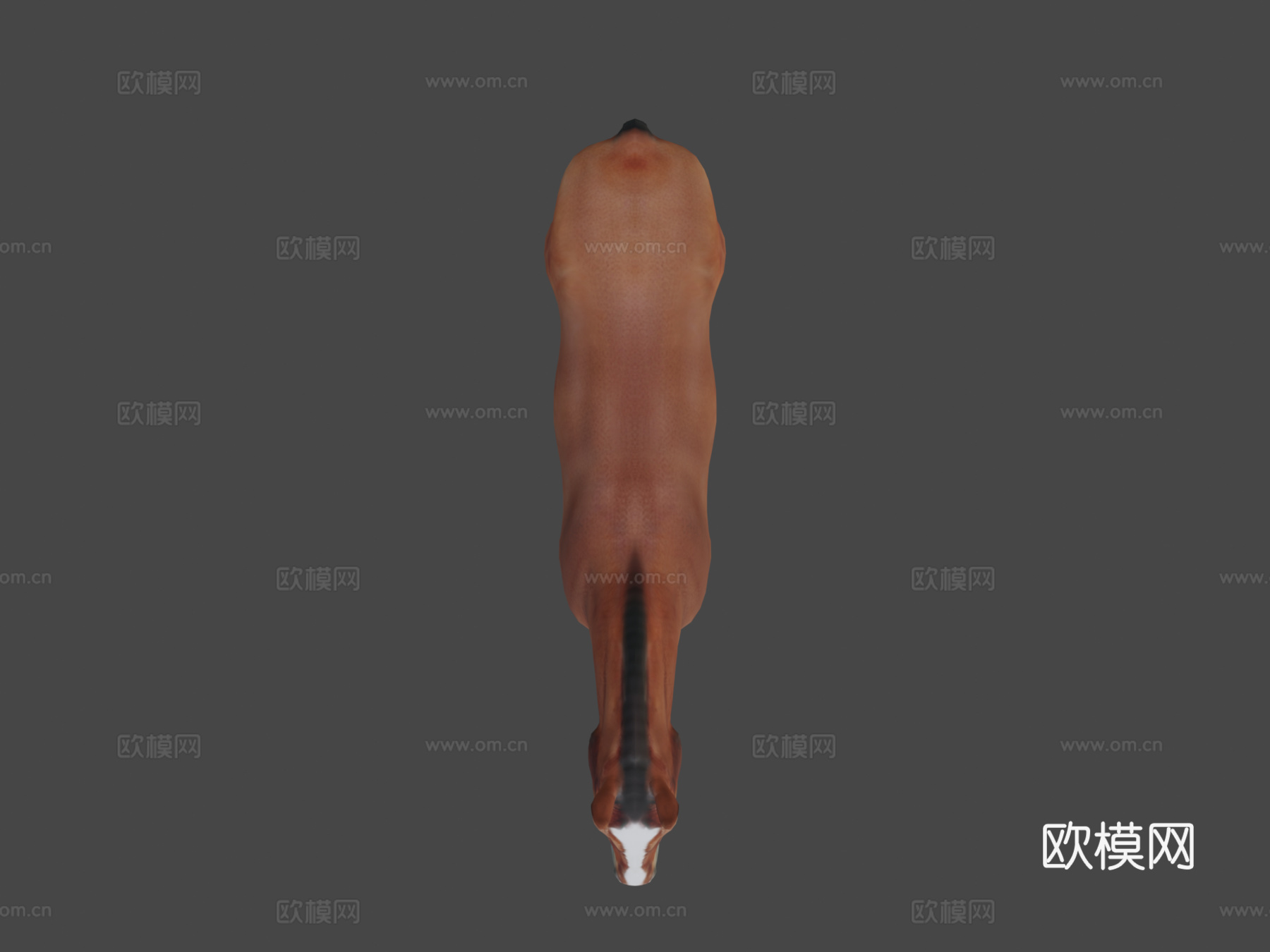 马基础网格3d模型