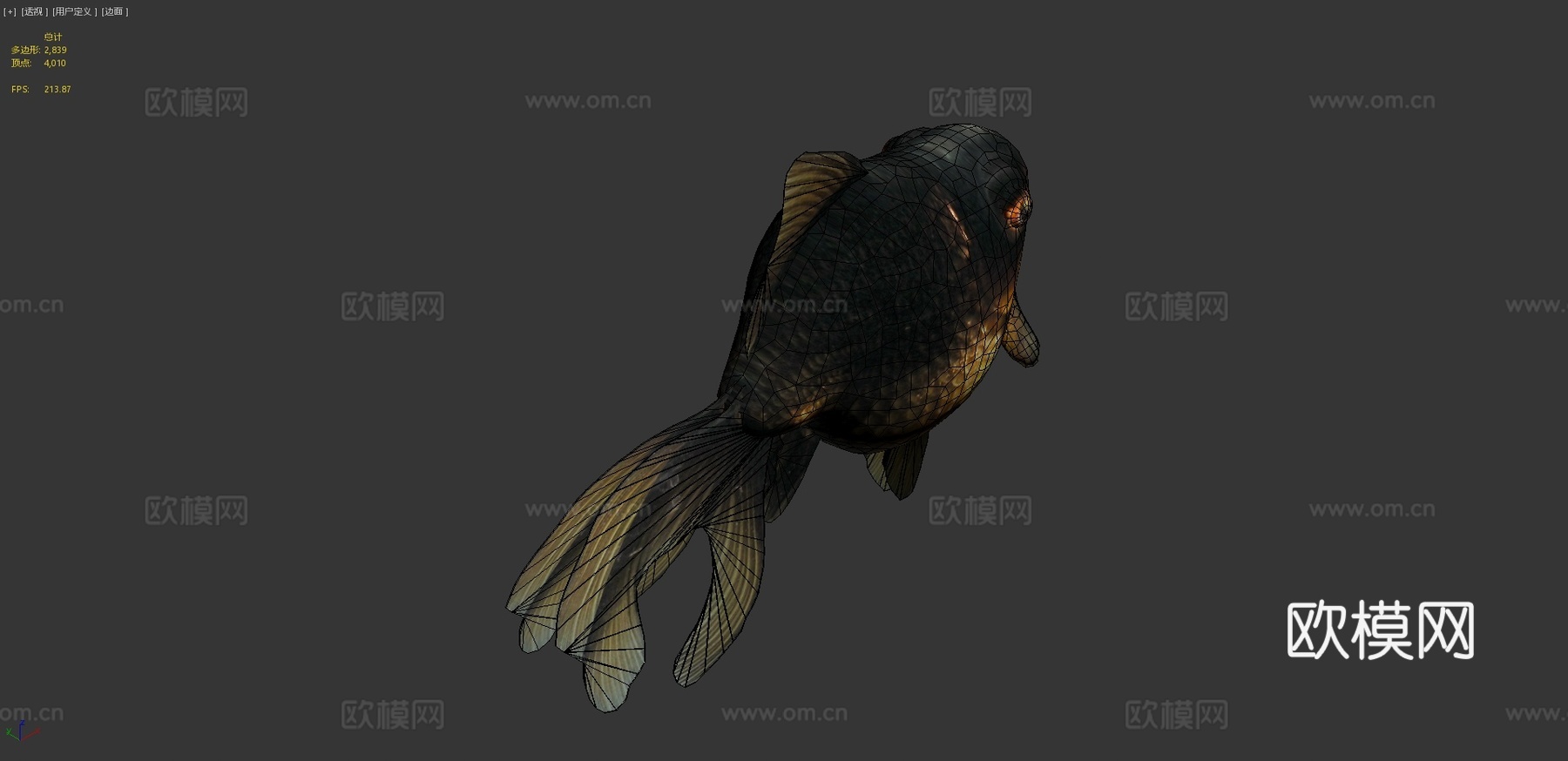 黑沼金鱼(Smoothie-3D上传)3d模型