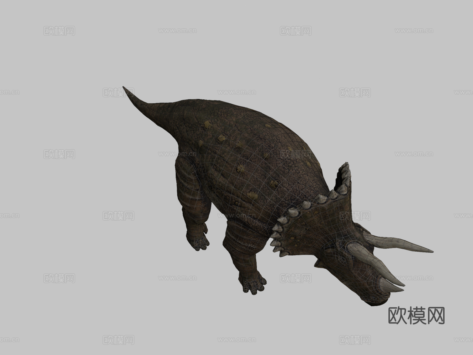 三角龙恐龙3d模型
