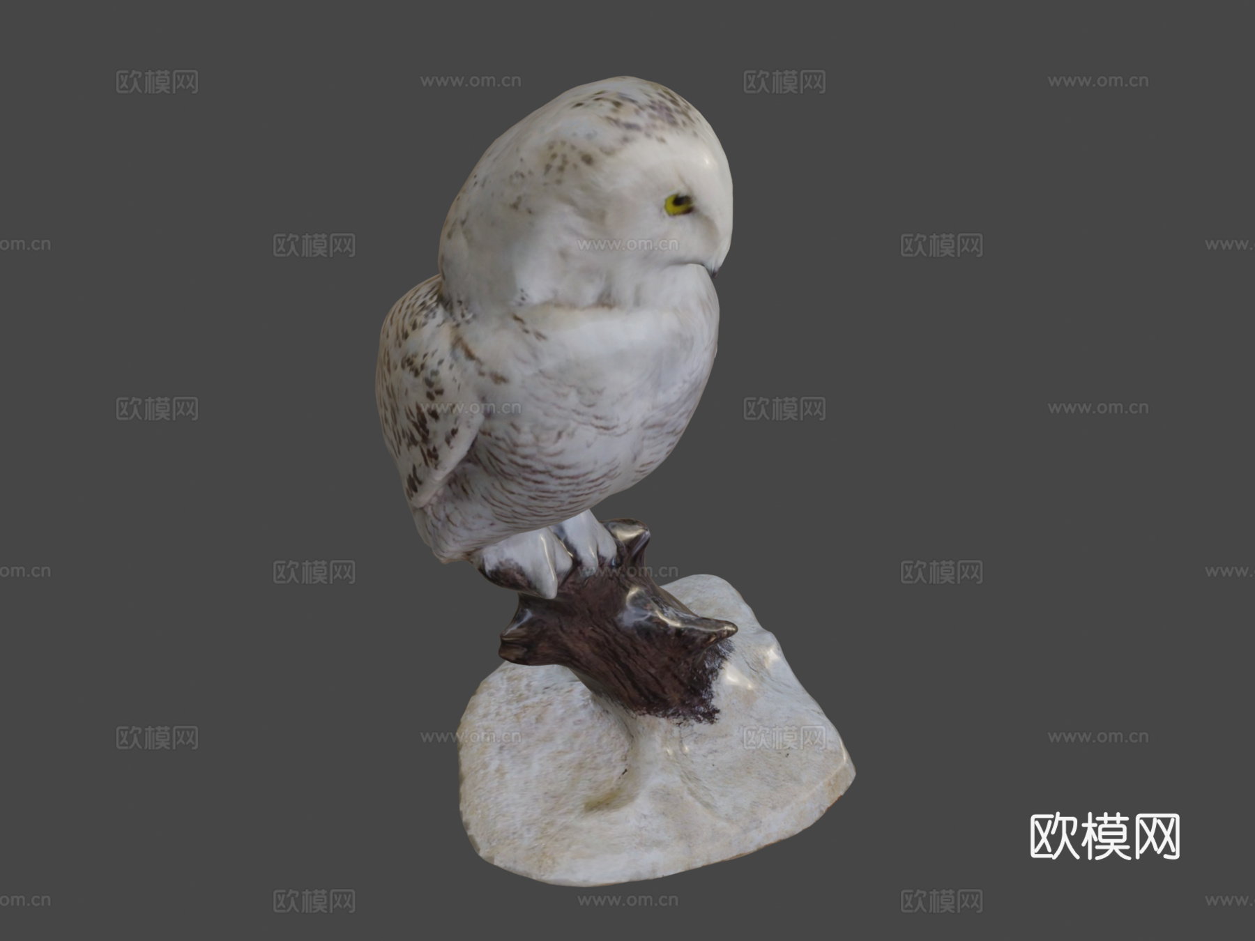 雪鸮3d模型