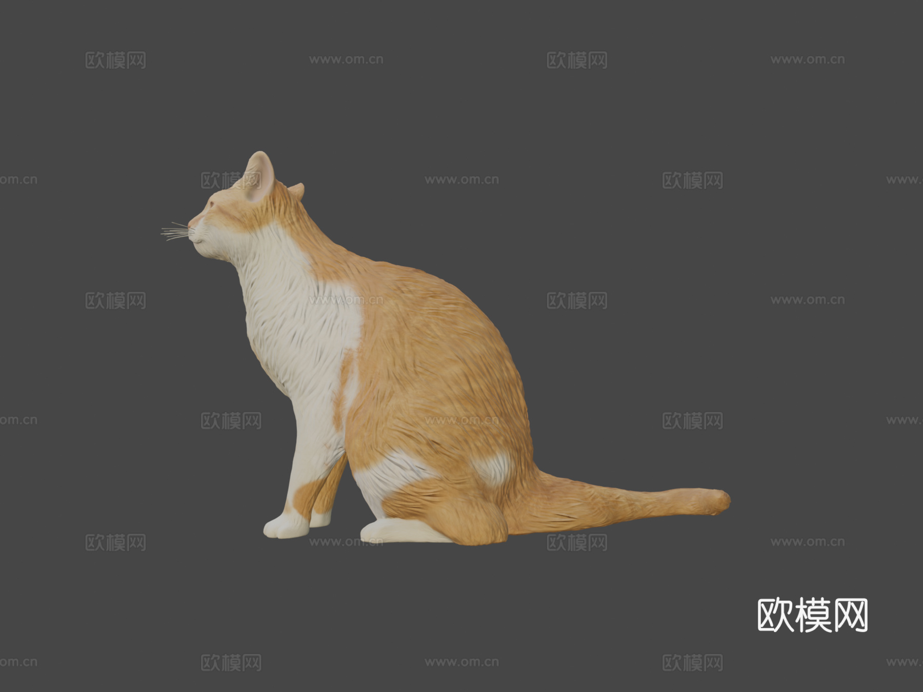 红猫07号3d模型