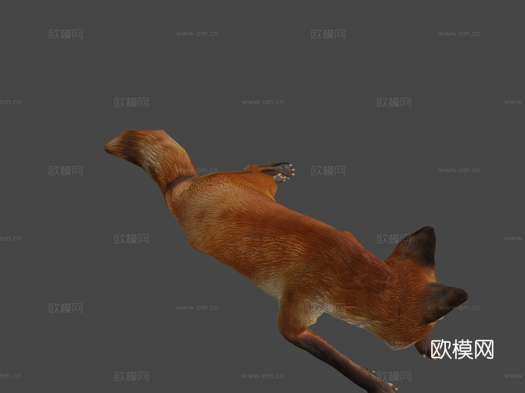 狐狸3d模型