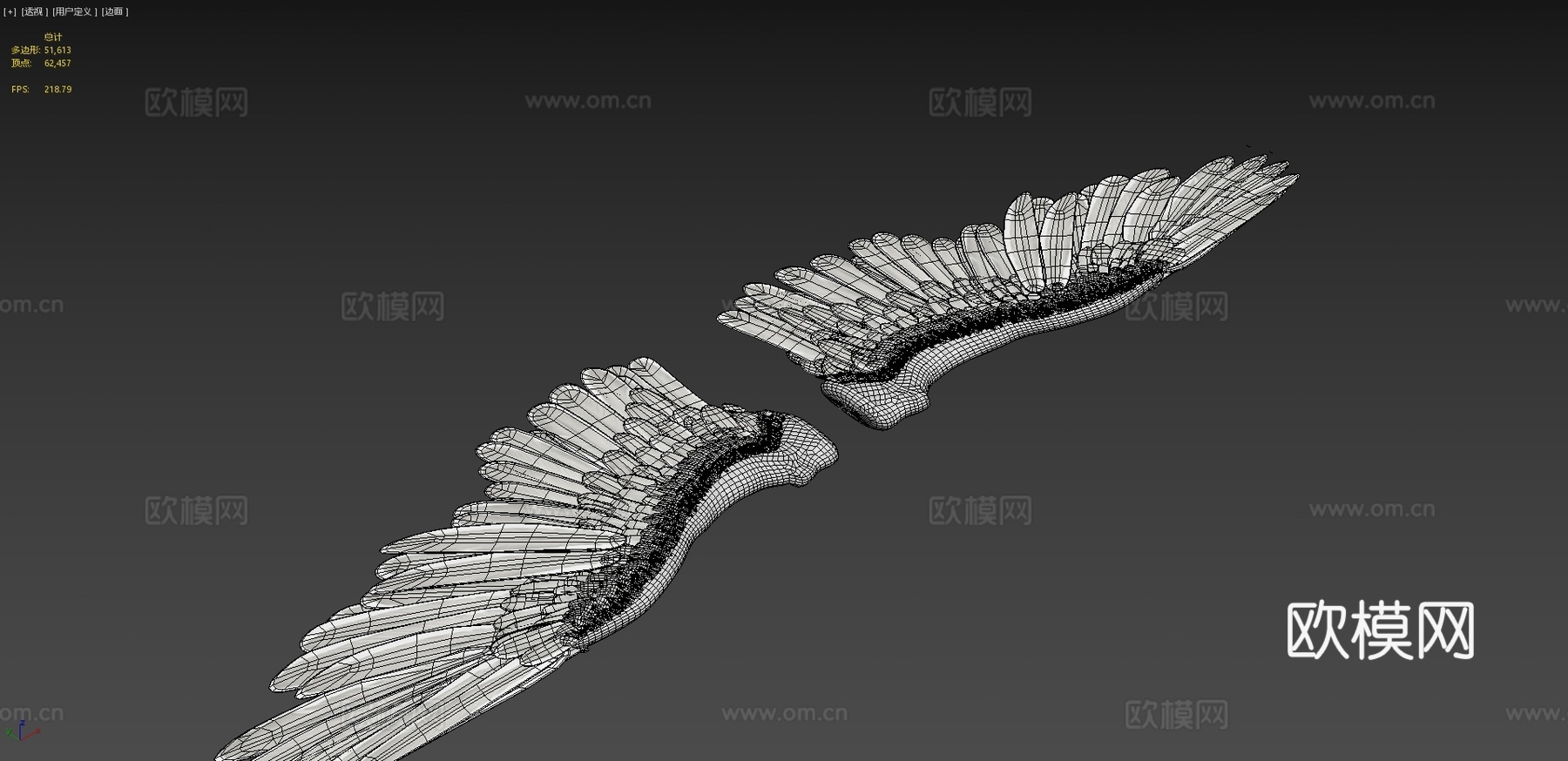 天使或鸟翼3d模型