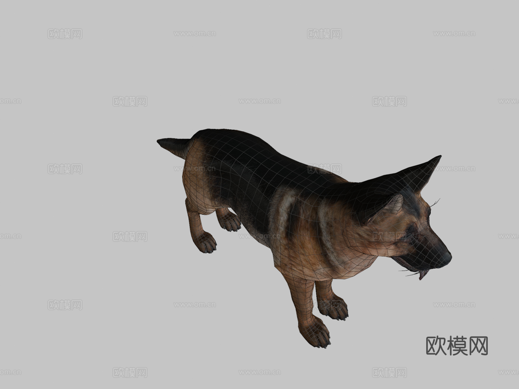 狗-牧羊犬3d模型