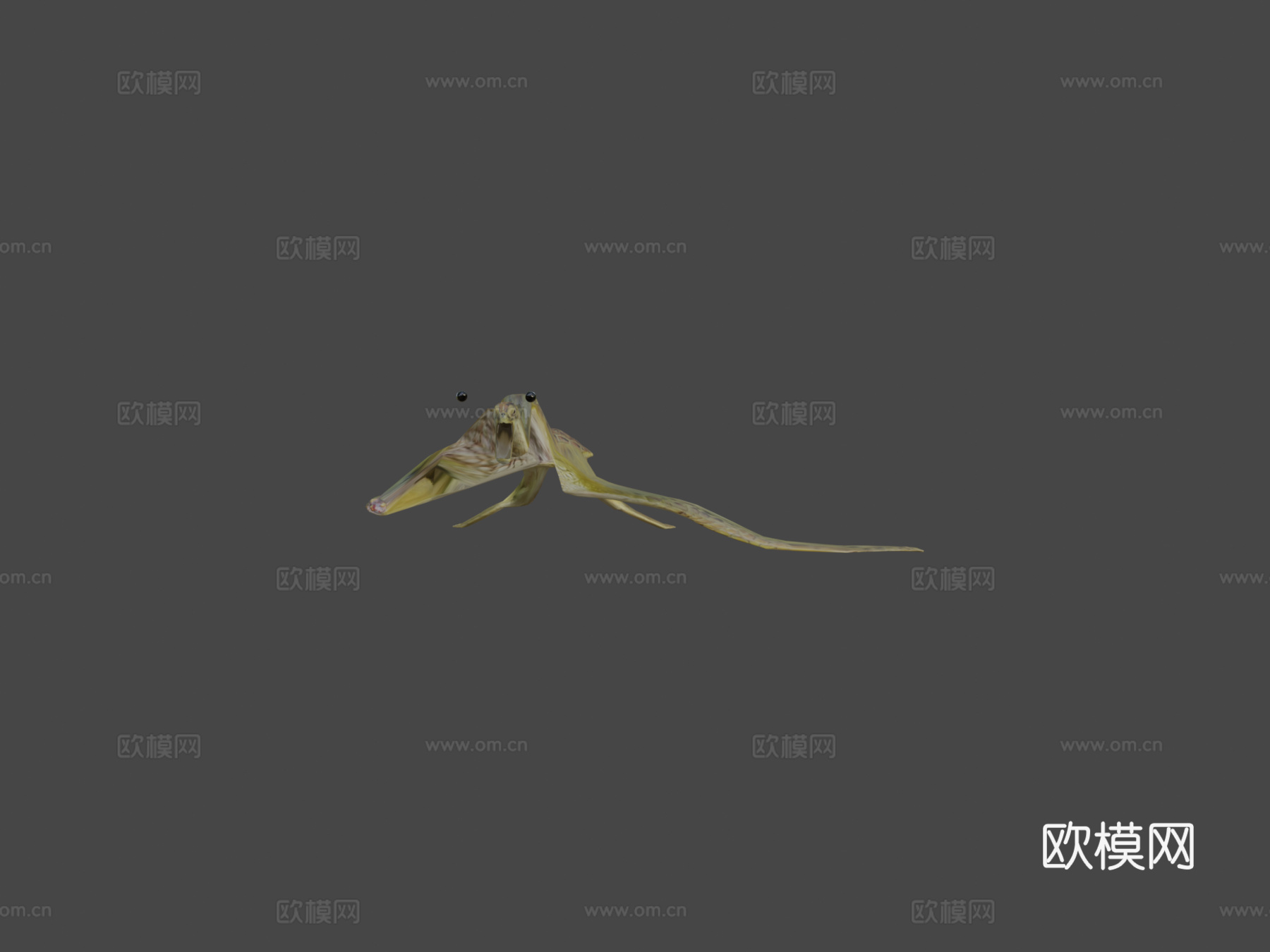 A模型-亚成年绿海龟3d模型