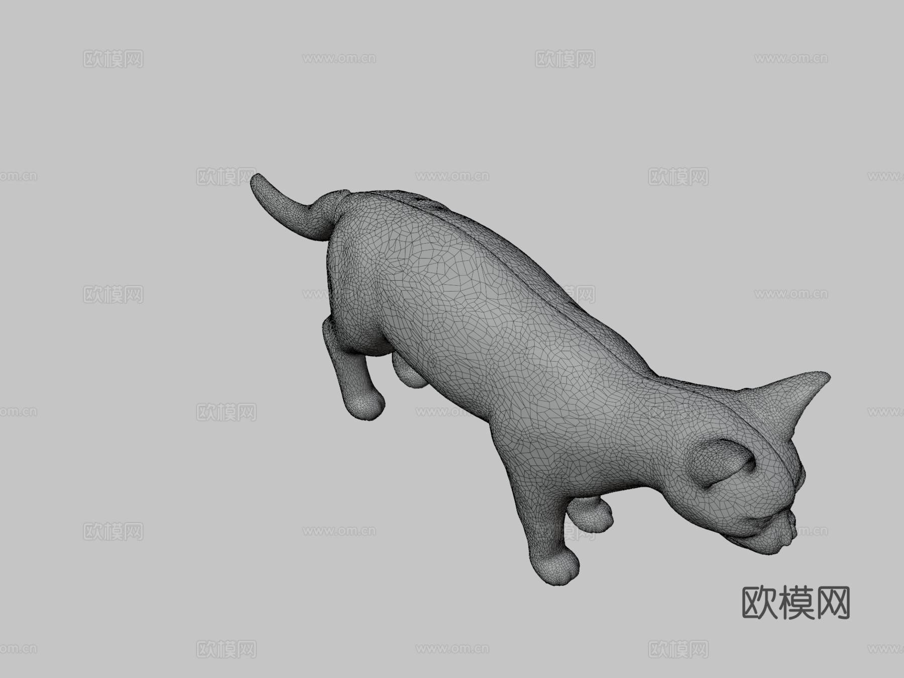 带肌肉结构的猫3D解剖模型3d模型