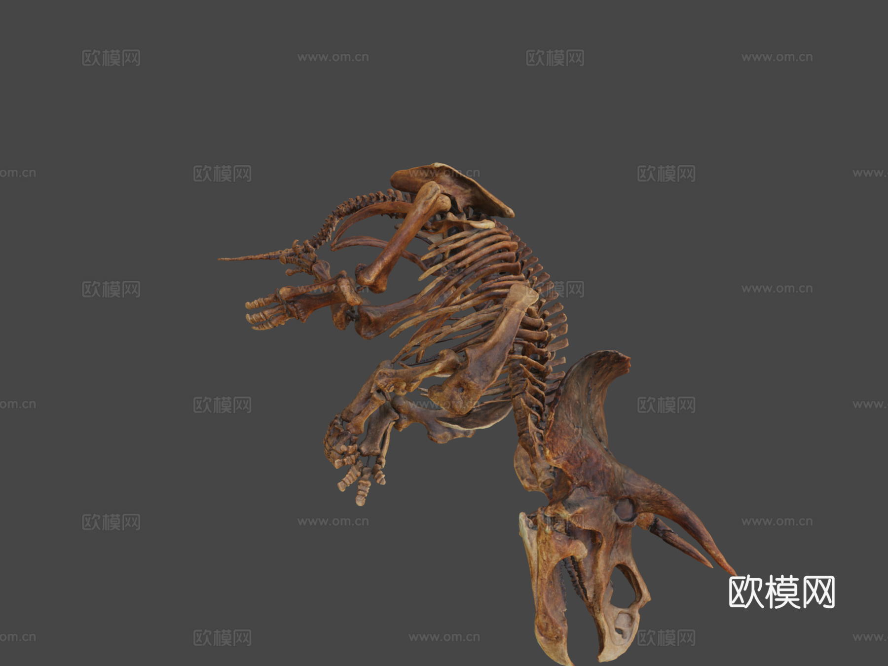 三角龙恐怖沼泽种3d模型