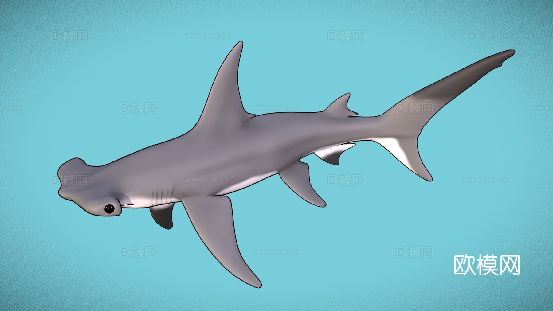 锤头鲨3d模型
