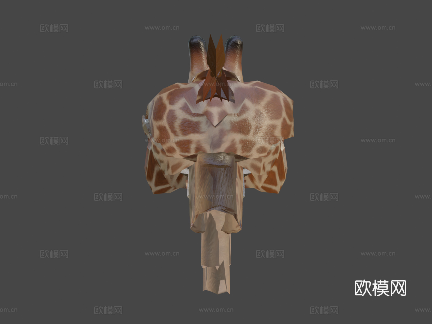 动画长颈鹿3d模型