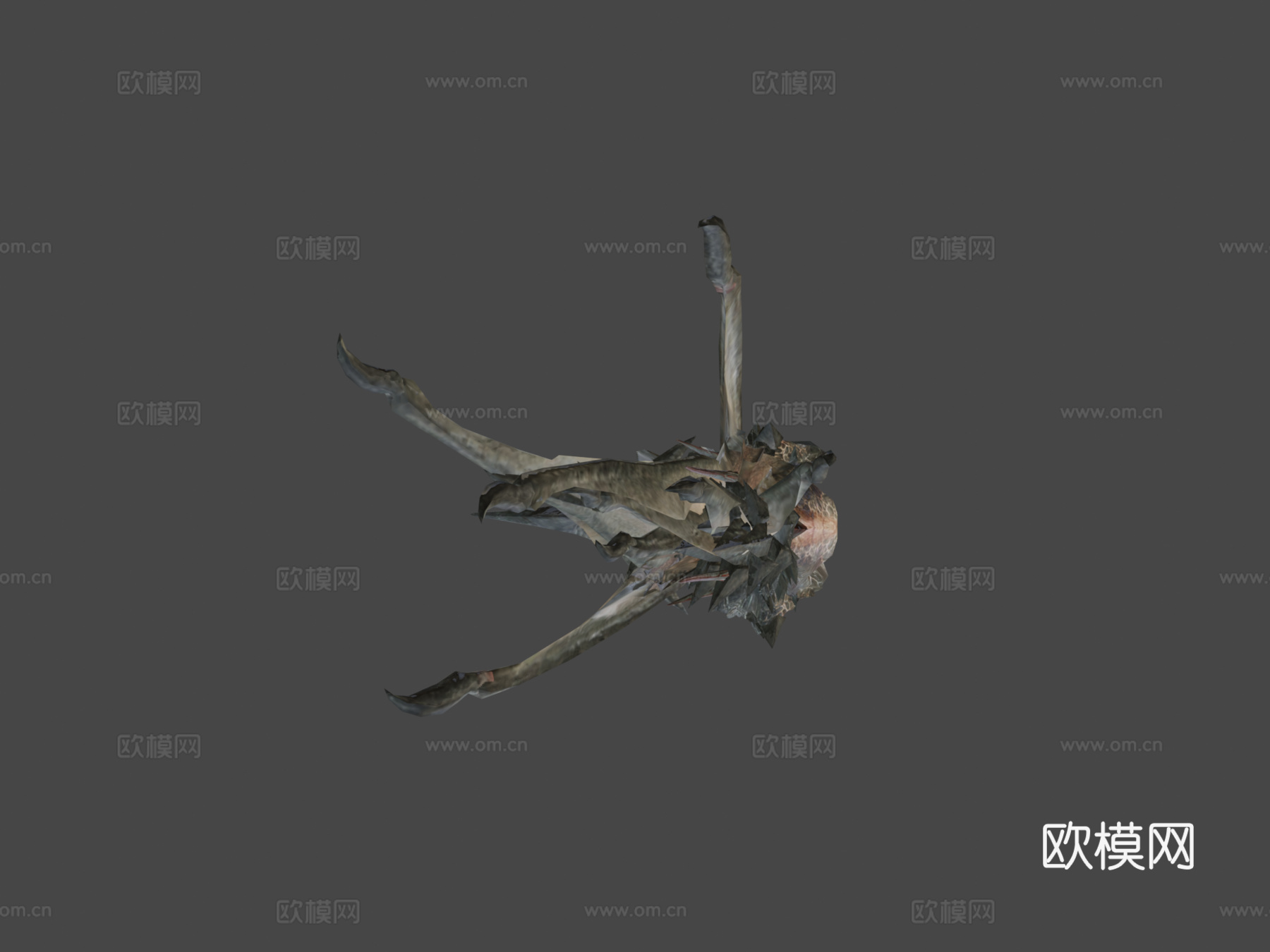 双足飞龙动画3d模型