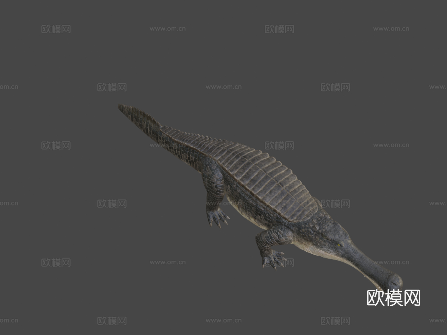 帝鳄3d模型