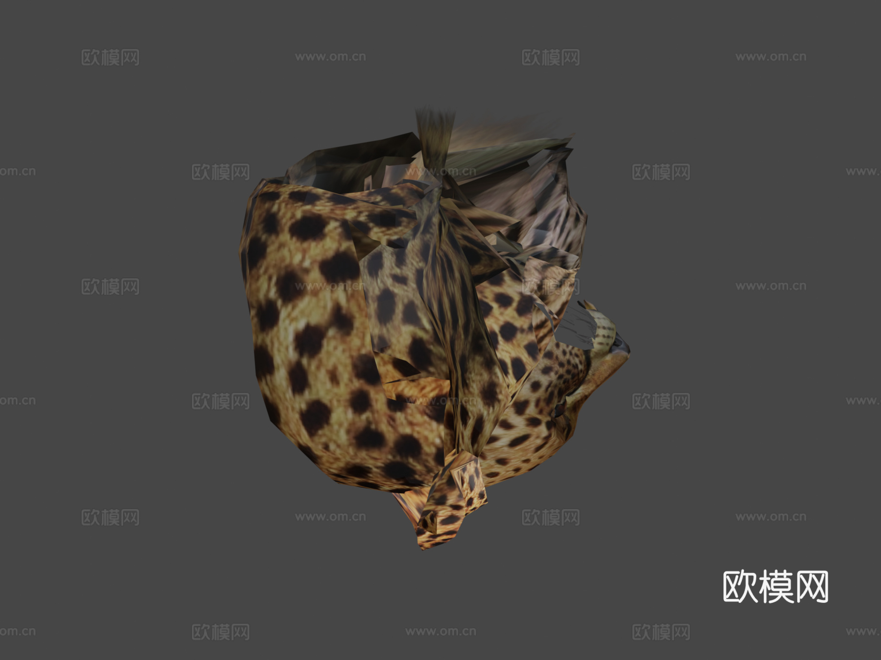 动画猎豹3d模型